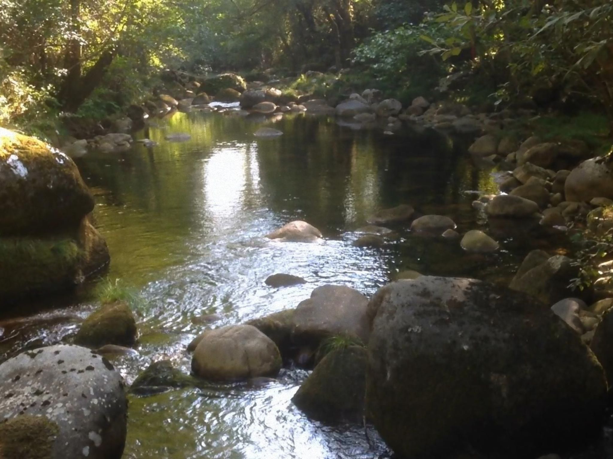"Großvaters Häuschen" mit Kamin-Binnen
