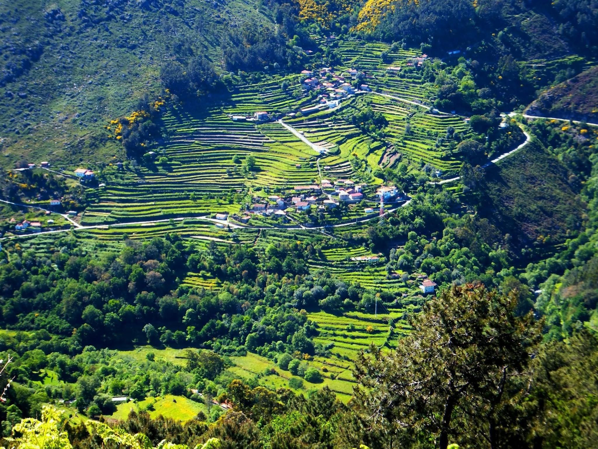 "Großvaters Häuschen" mit Kamin-Binnen