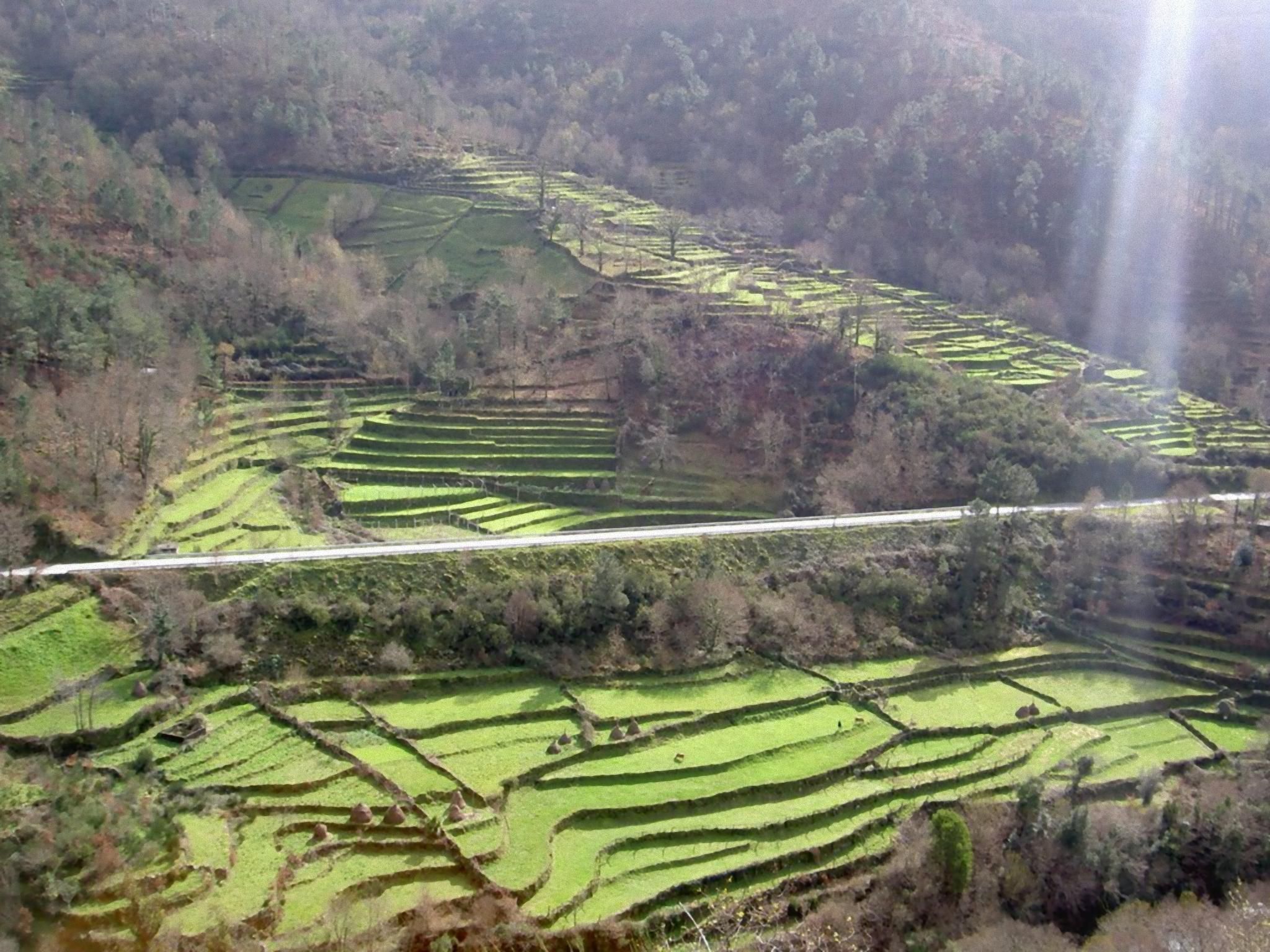 "Großvaters Häuschen" mit Kamin-Binnen