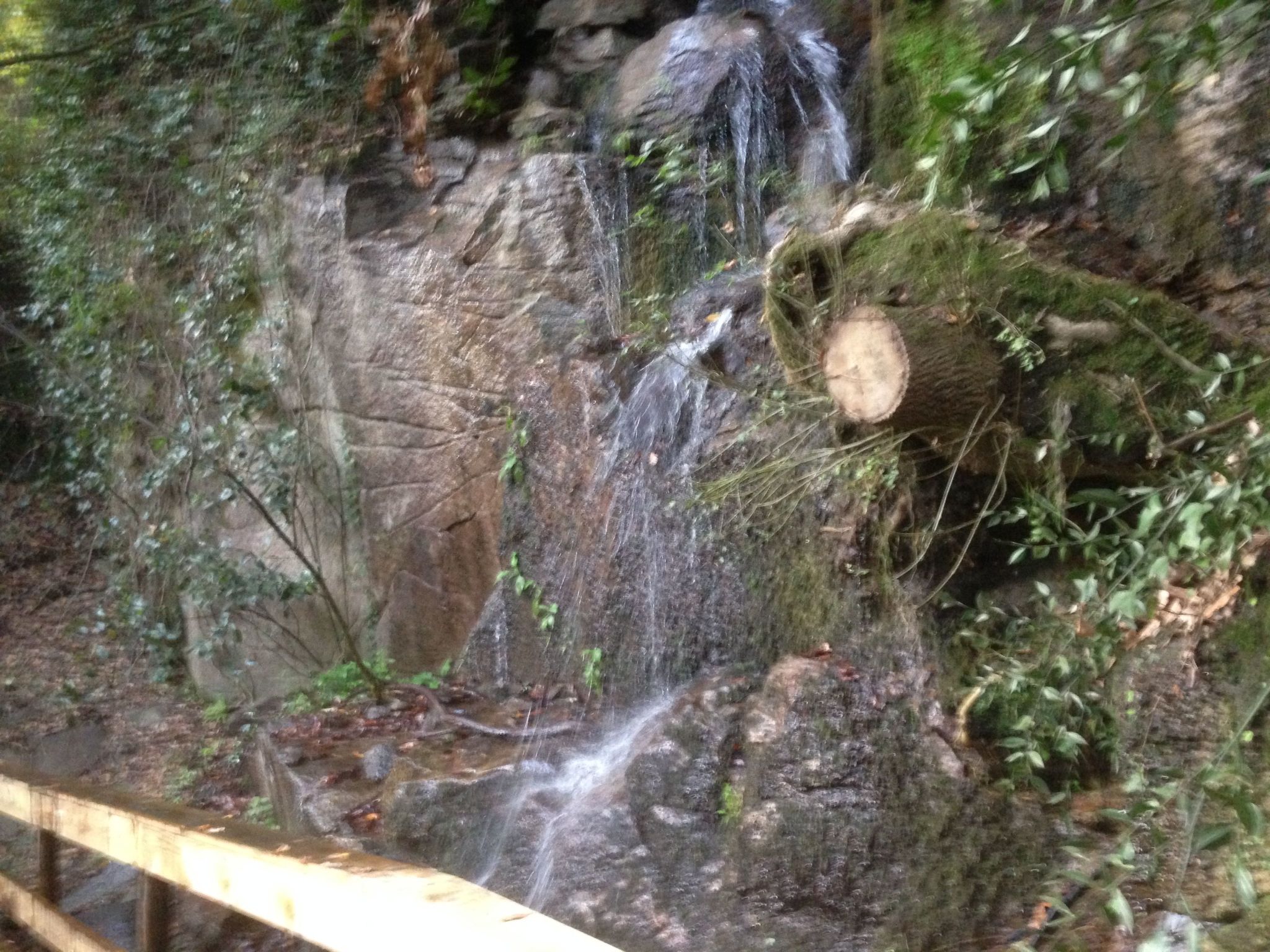 "Großvaters Häuschen" mit Kamin-Binnen