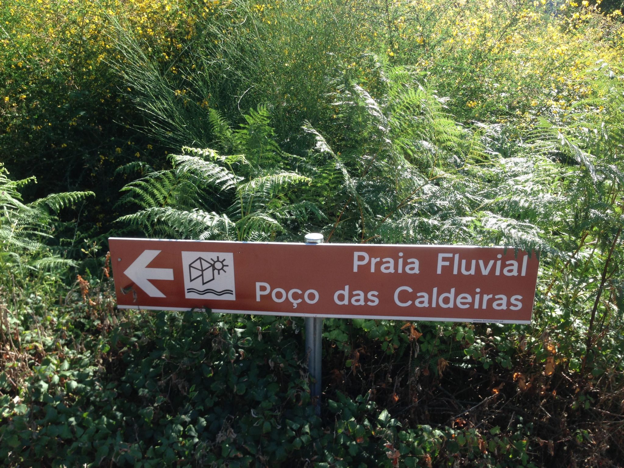 "Großvaters Häuschen" mit Kamin-Binnen