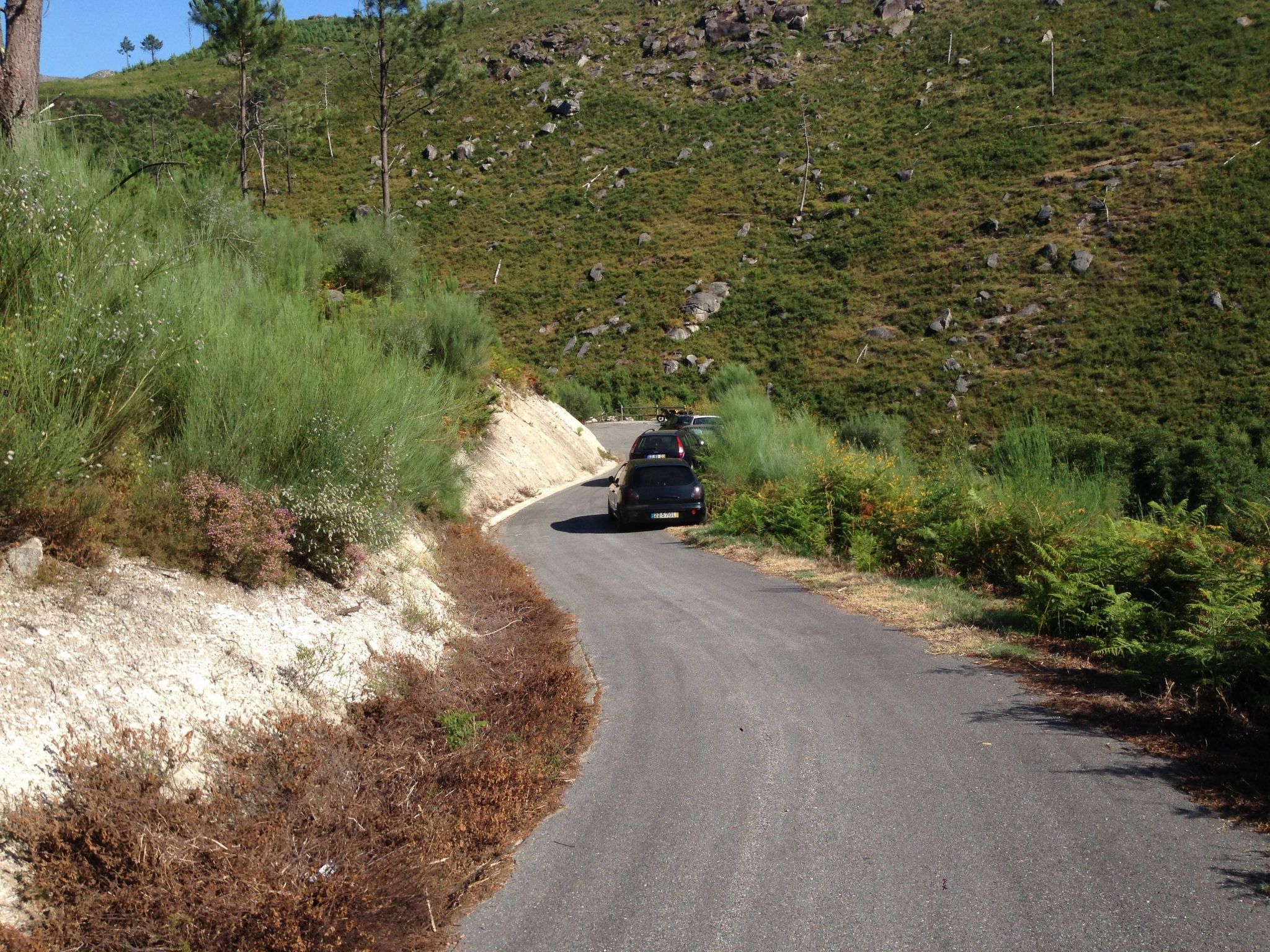 "Großvaters Häuschen" mit Kamin-Binnen