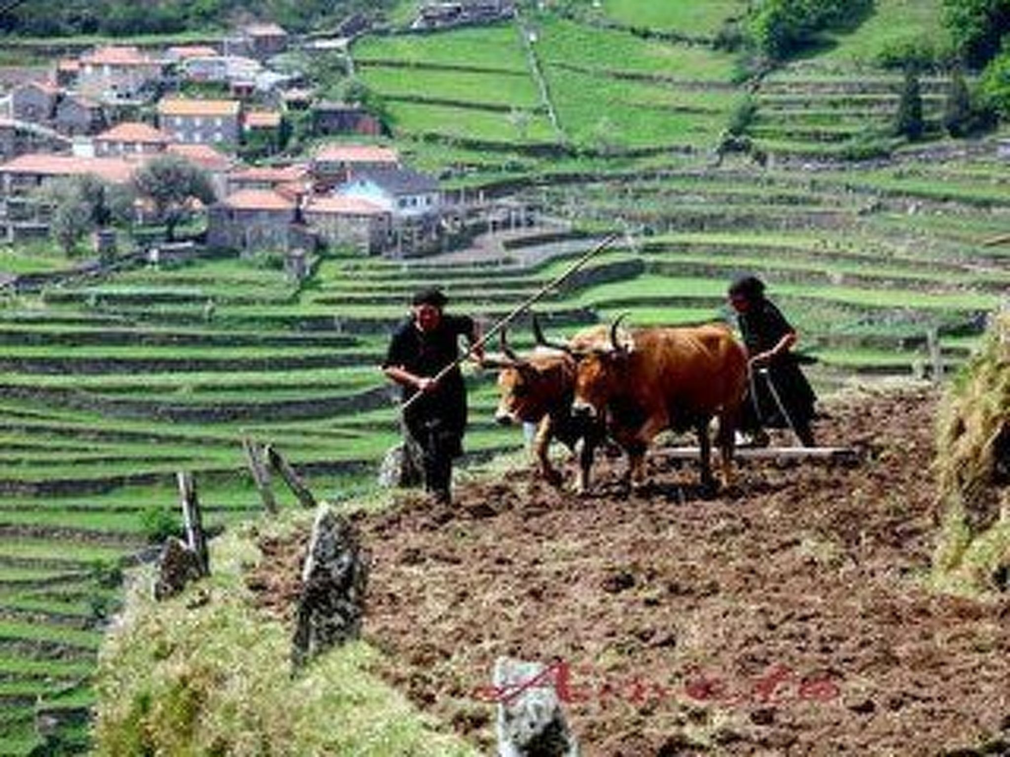 Soajo - Die schönste Gegend von Gerês 1-Binnen