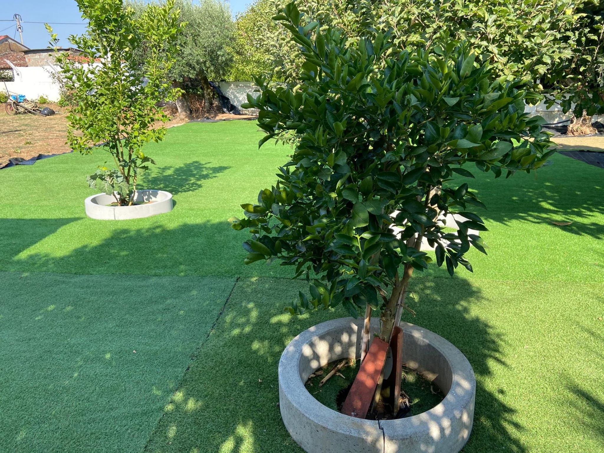 Visitar Bioucas II Traditionelles Einfamilienhaus-Image-tags.info