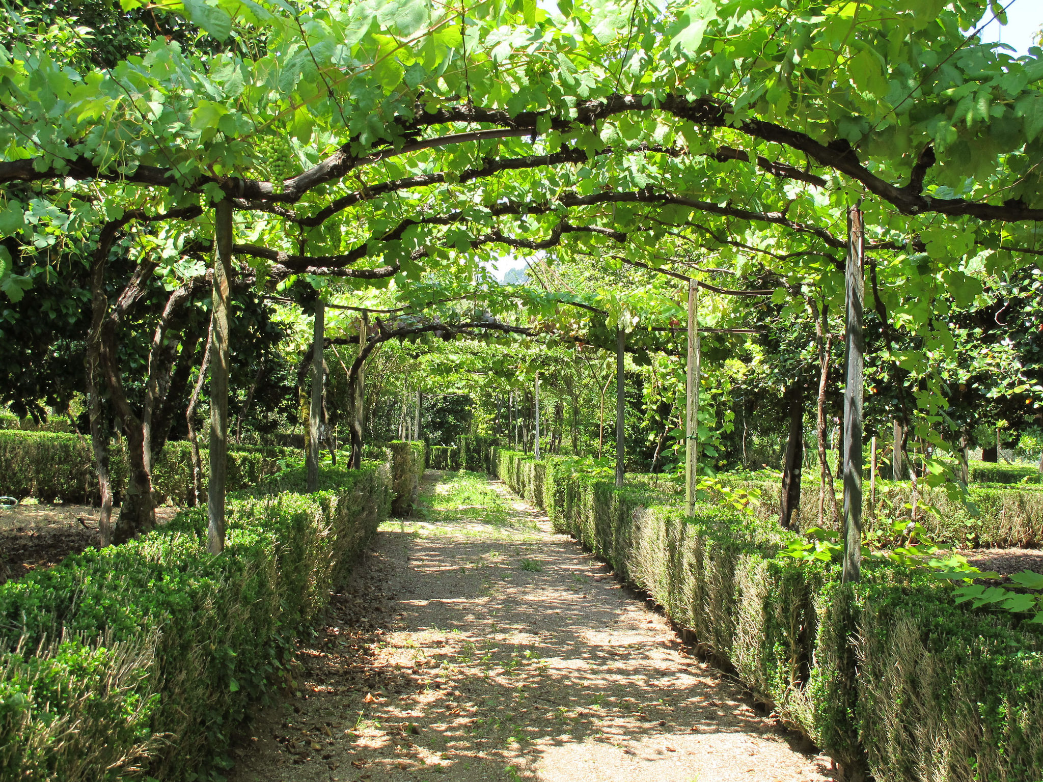 Photo of De Ferreira