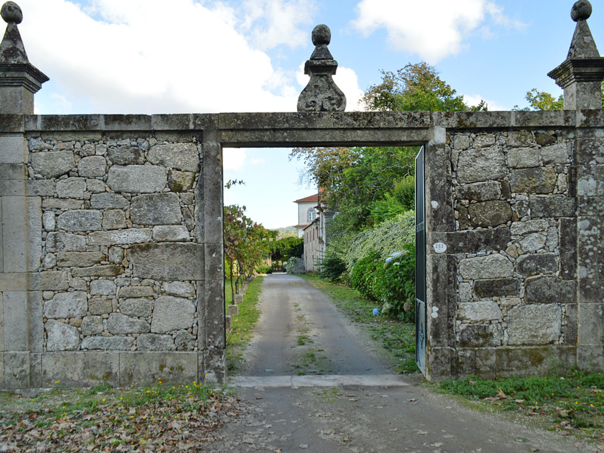 Photo of De Ferreira