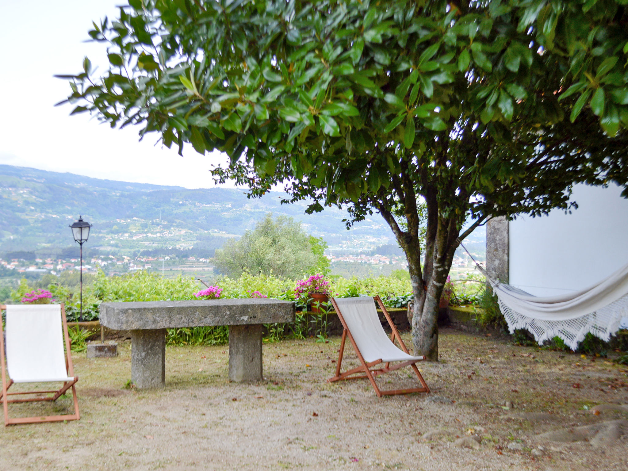 Photo of De Ferreira