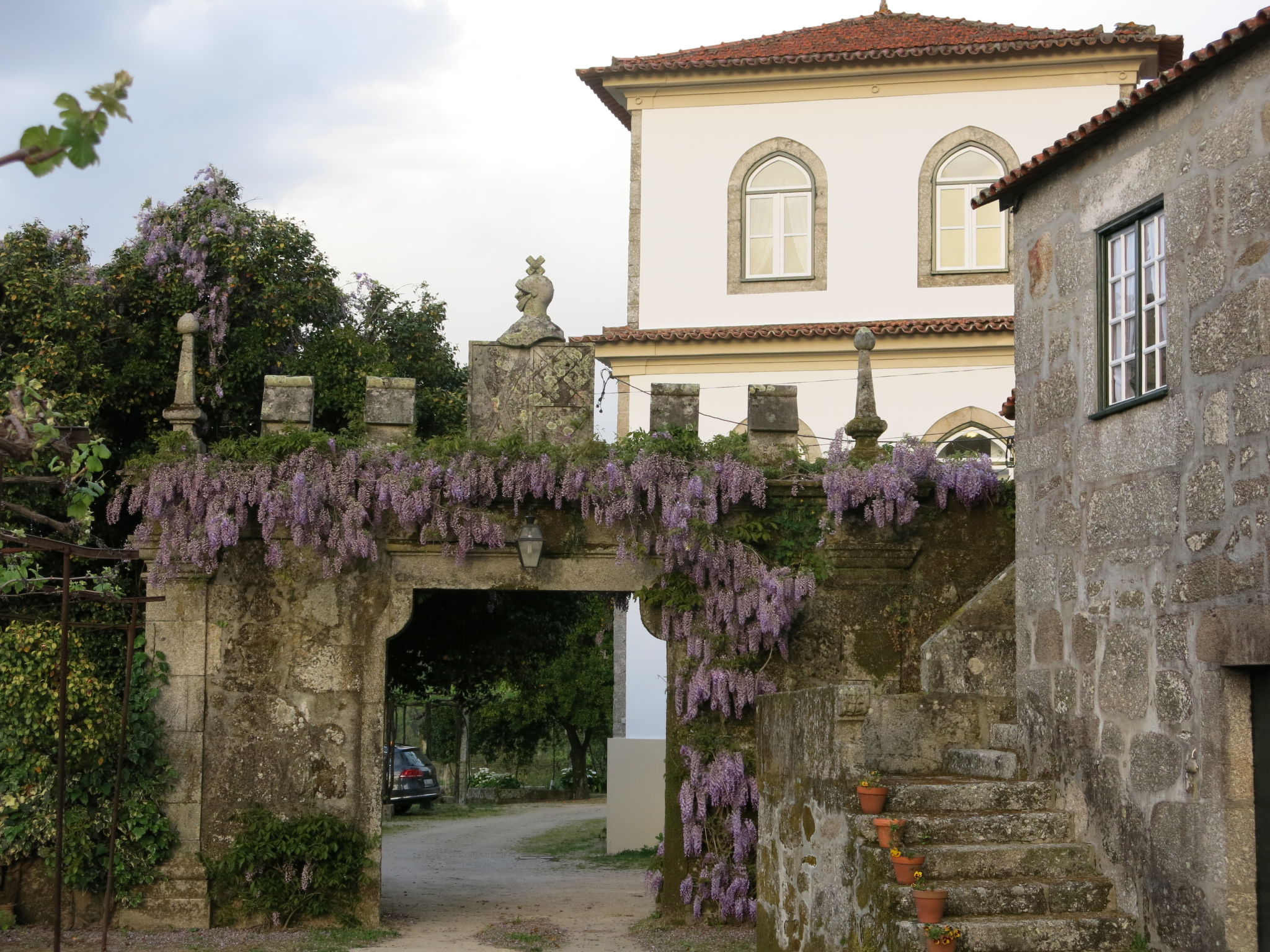 Photo of De Ferreira