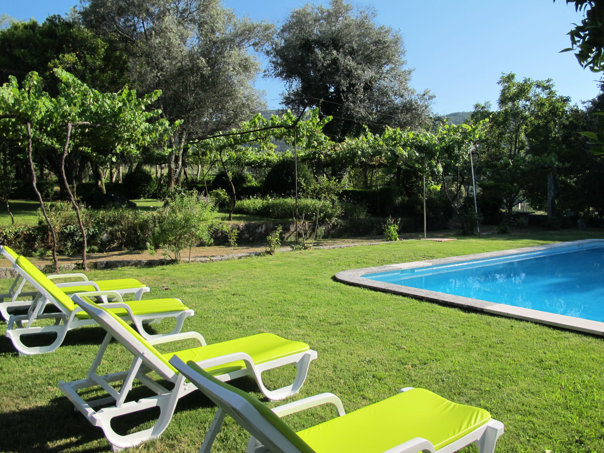 Photo of De Ferreira