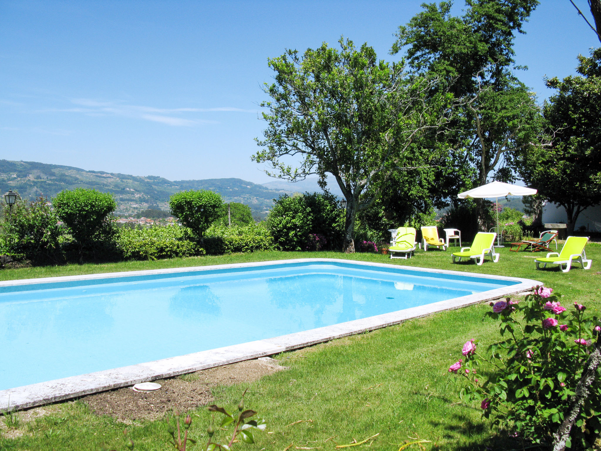 Photo of De Ferreira