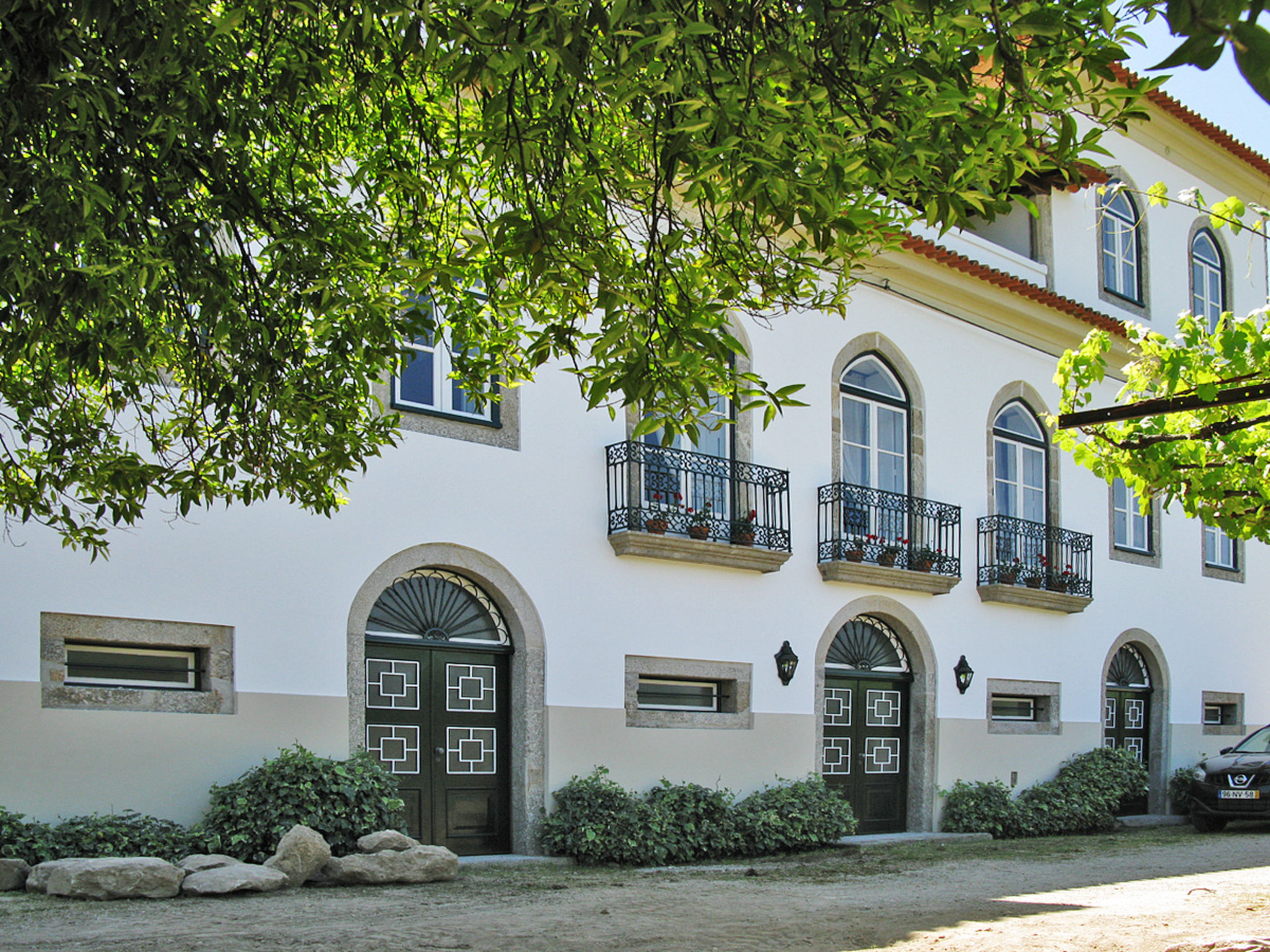 Photo of De Ferreira