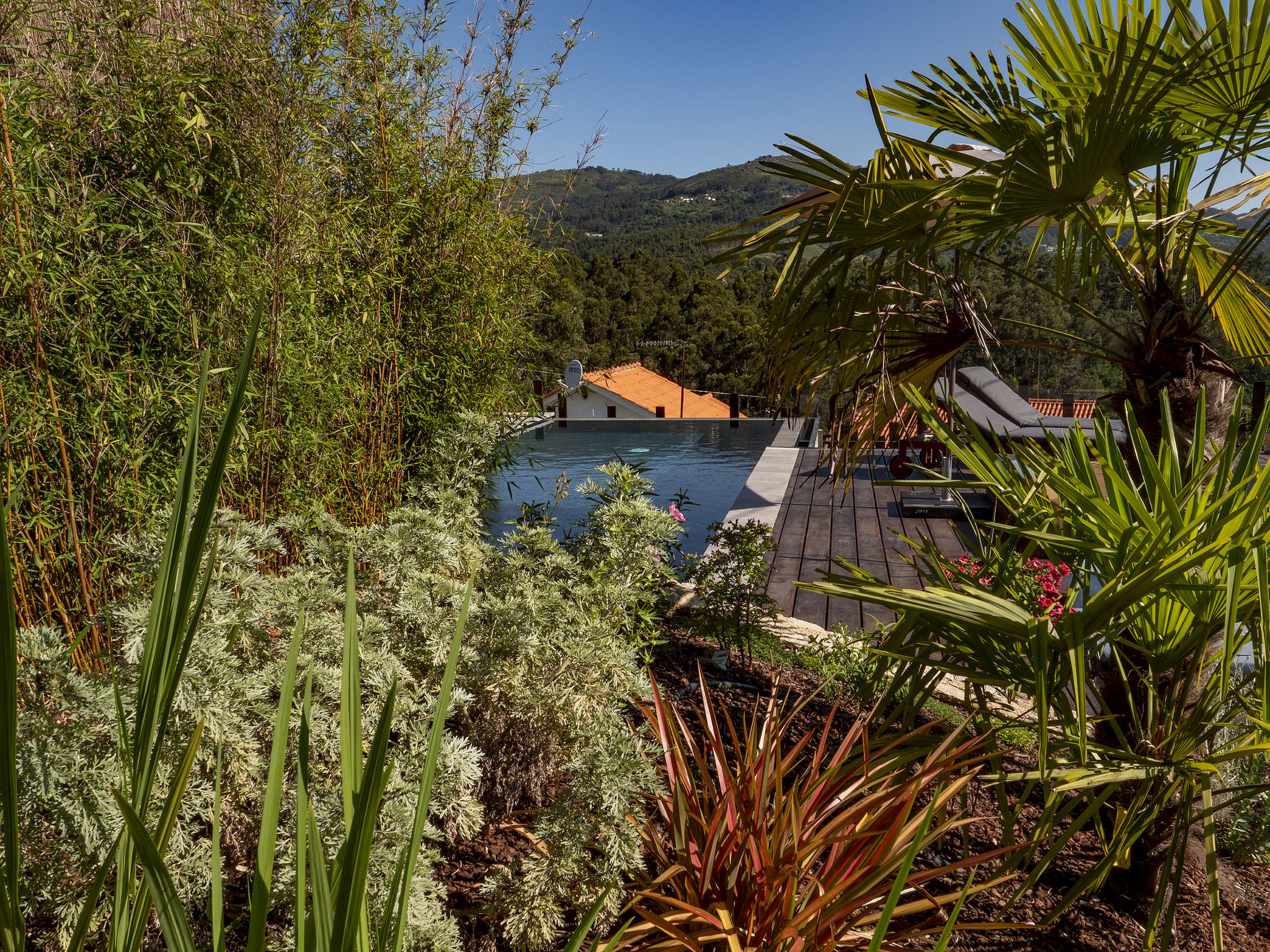 Photo of Rio Lima Retreat