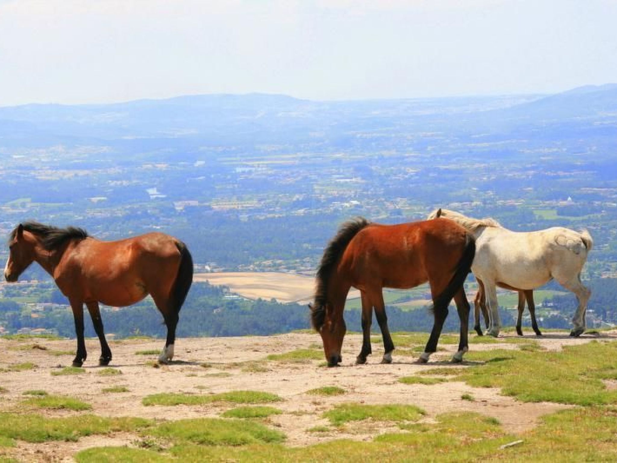 Ländliche Finca "Casa da Rocha"-Binnen