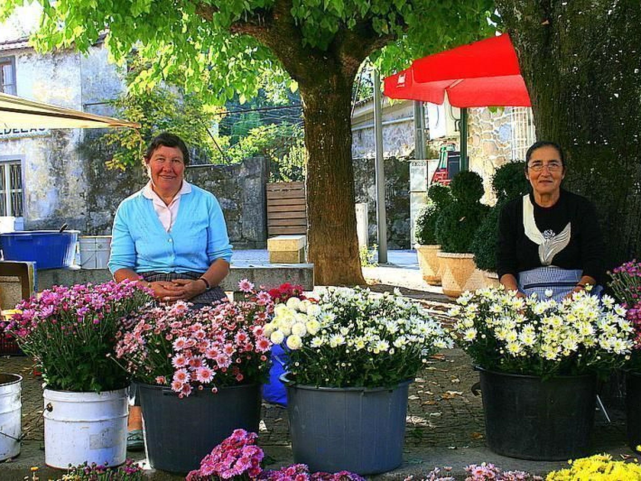 Ländliche Finca "Casa da Rocha"-Binnen