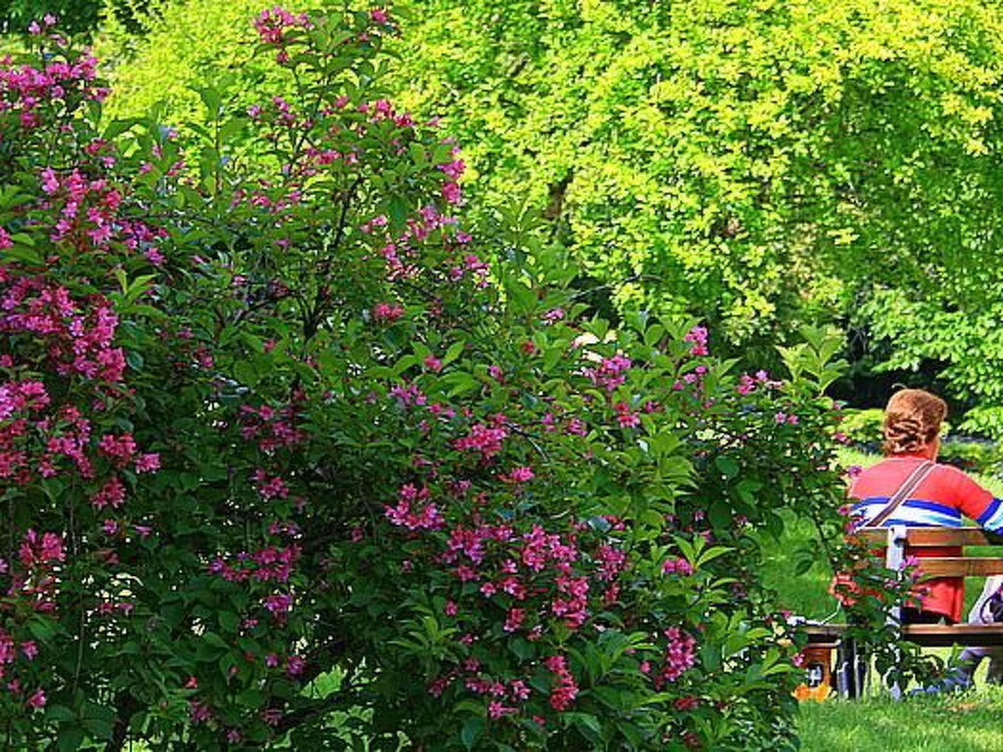 Ländliche Finca "Casa da Rocha"-Binnen