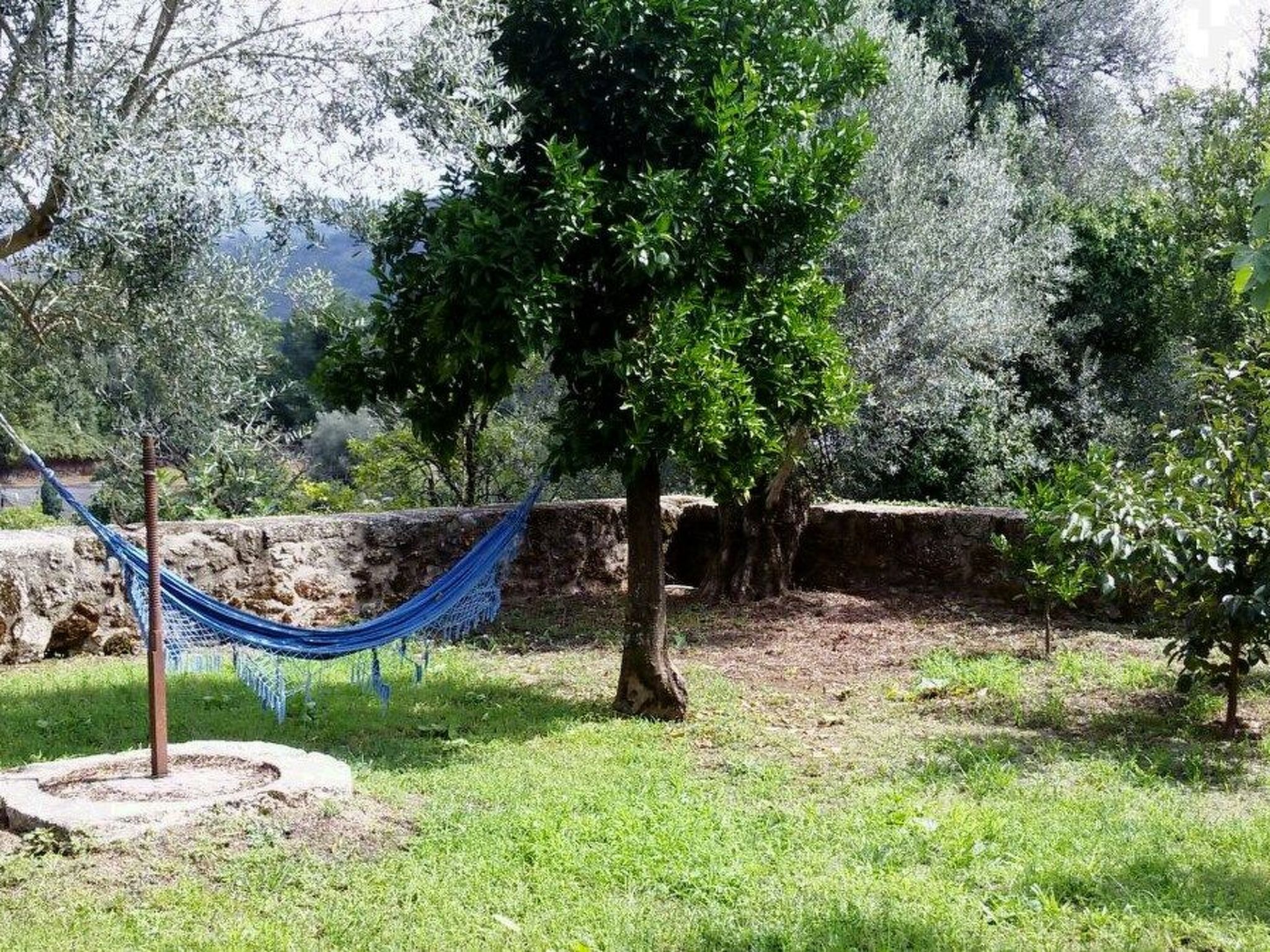 Altes Kellerhaus in Gerês-Image-tags.info