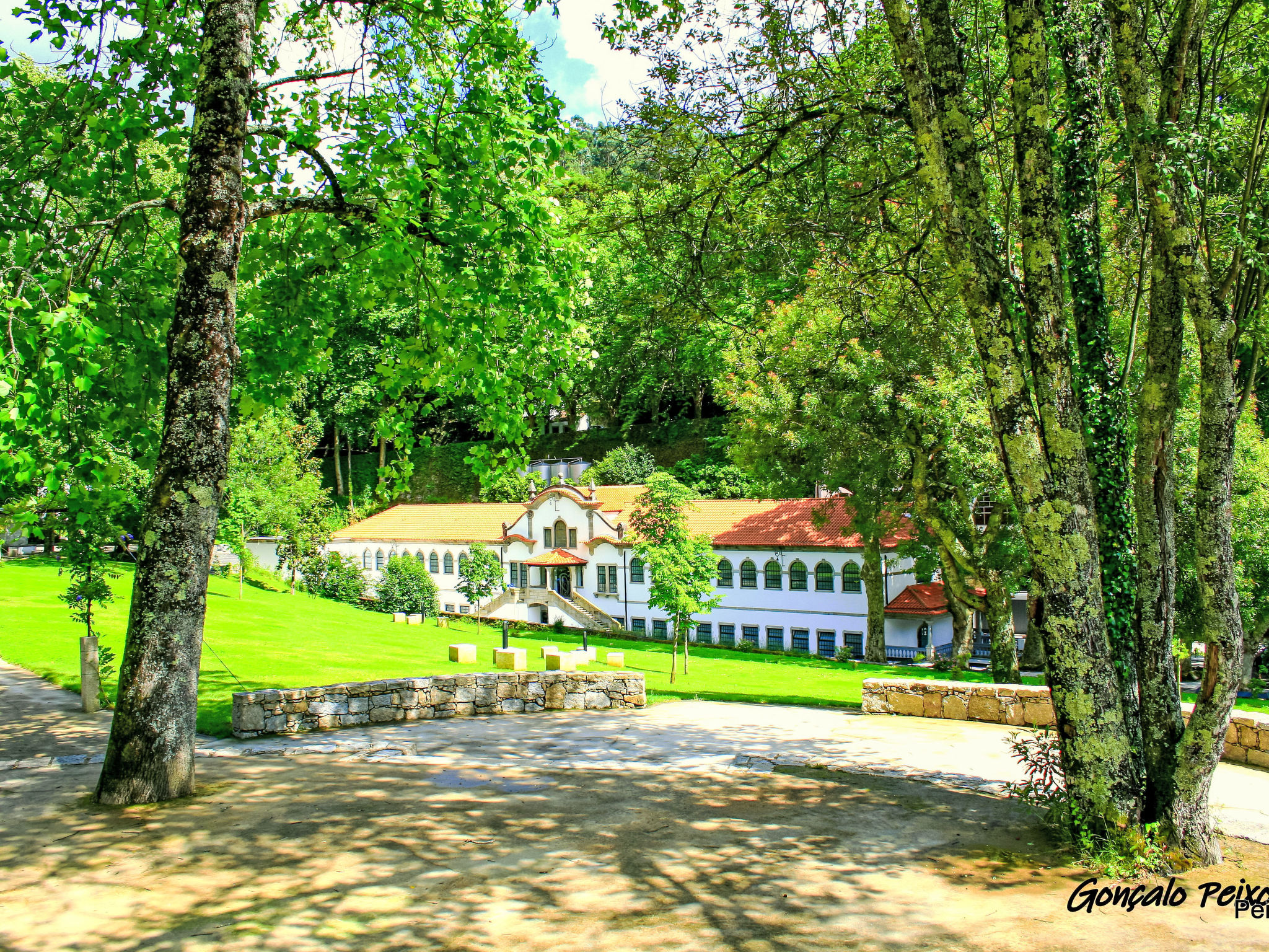 Casa das Devesas - Dehors