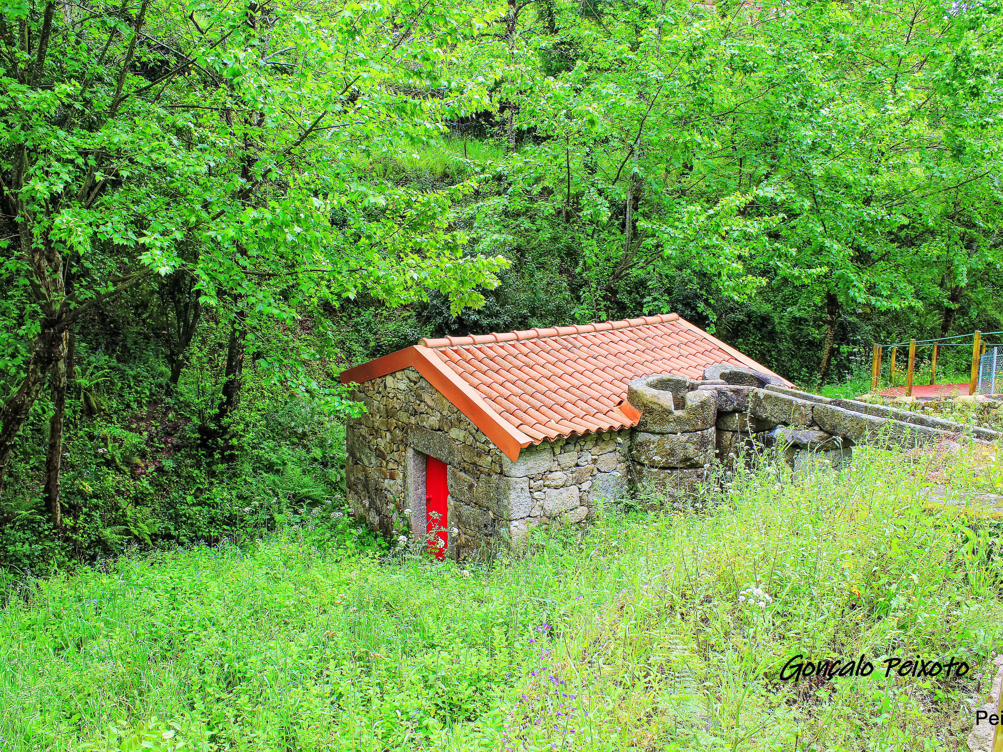 Casa das Devesas - Dehors