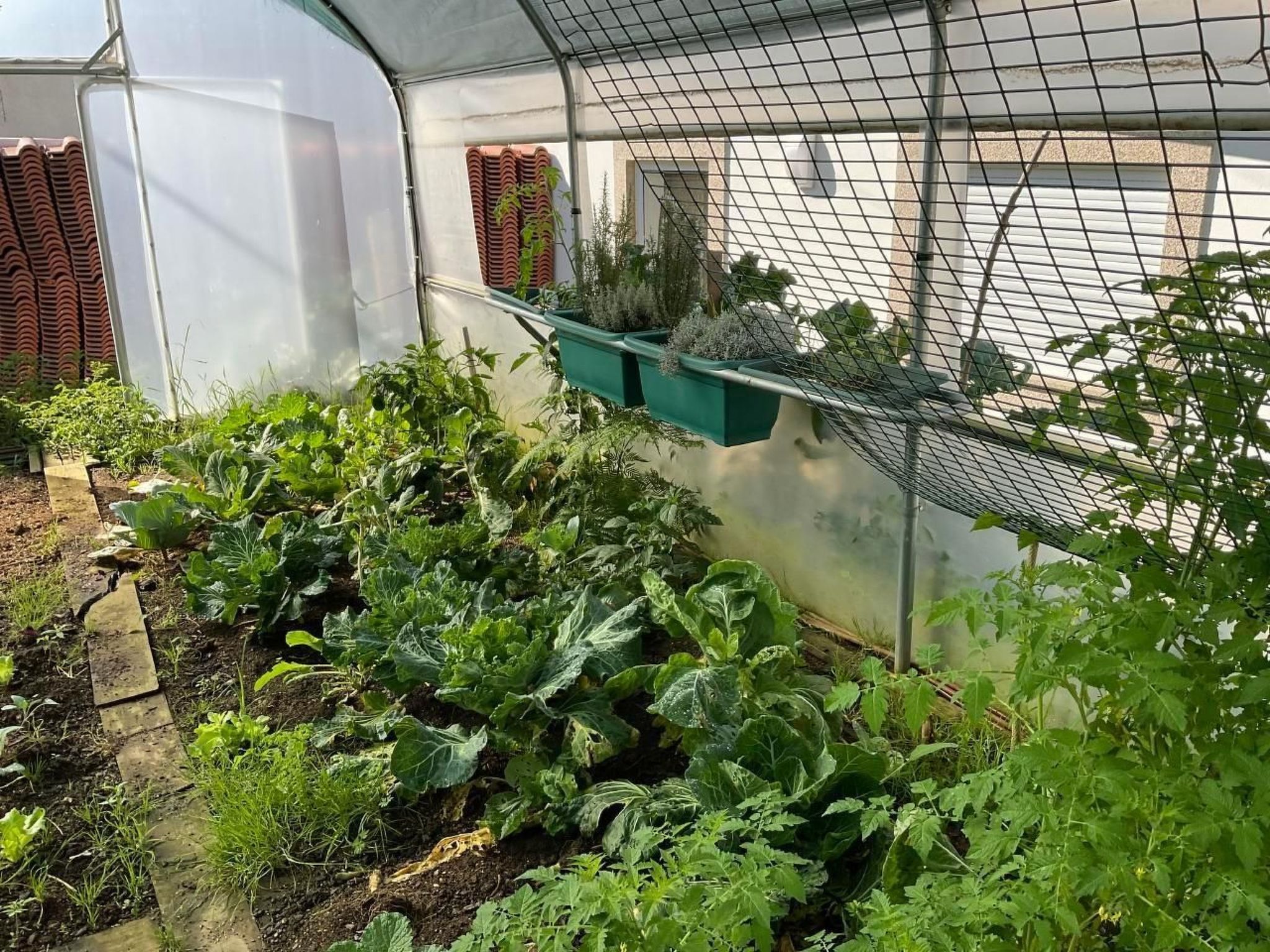 Photo of Casa da Guilheta