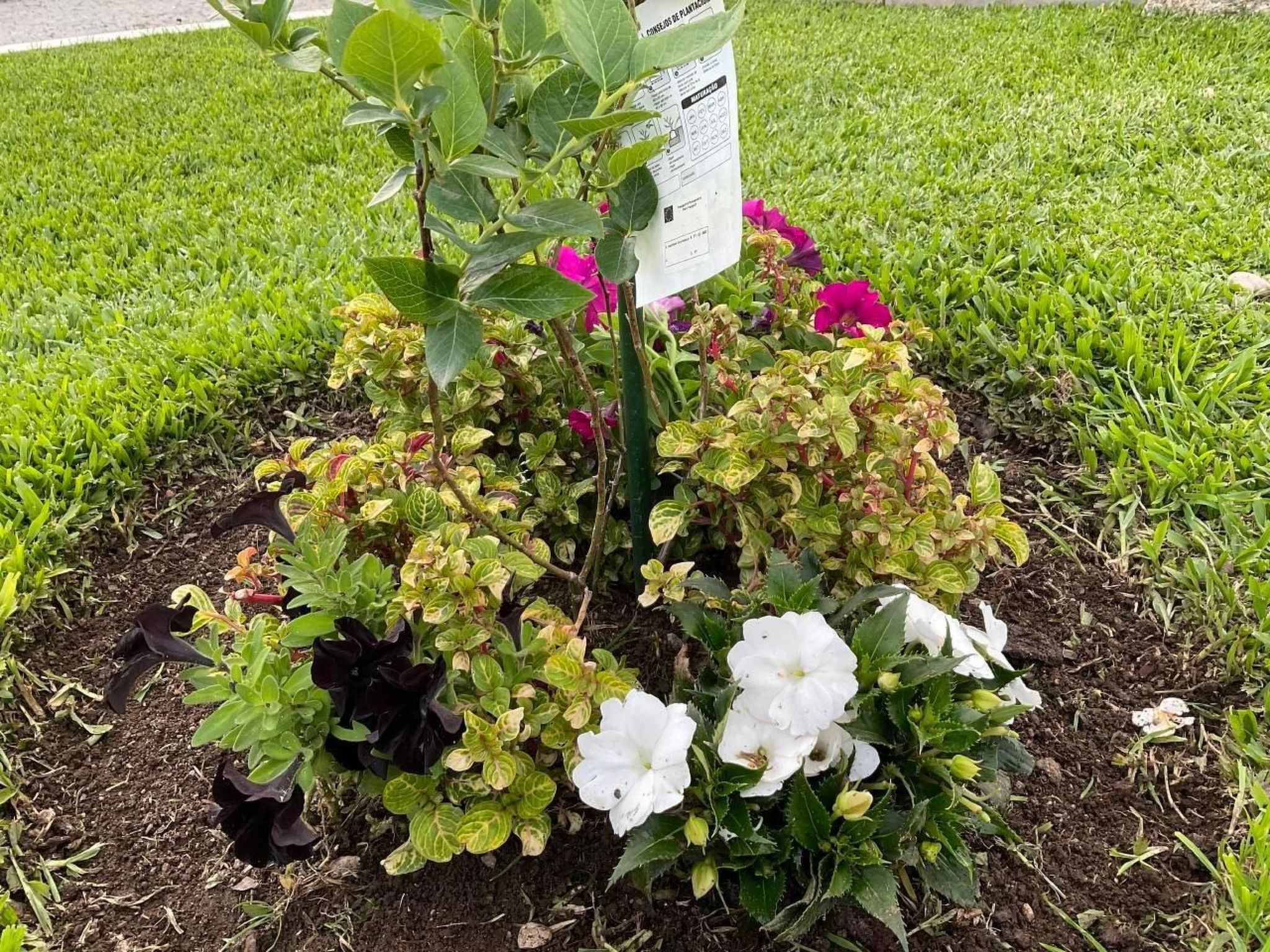 Photo of Casa da Guilheta