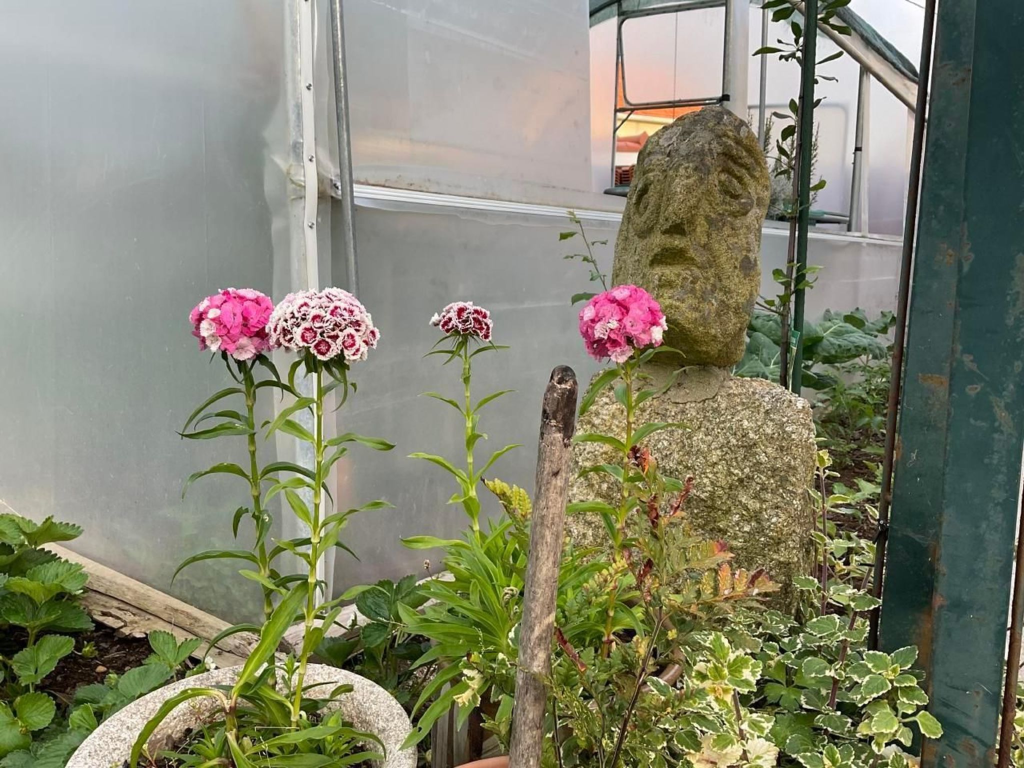 Photo of Casa da Guilheta