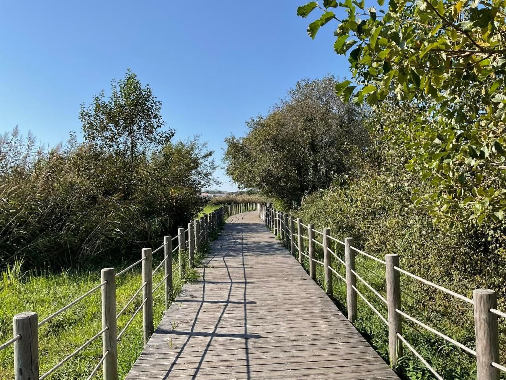 Photo of Casa da Guilheta