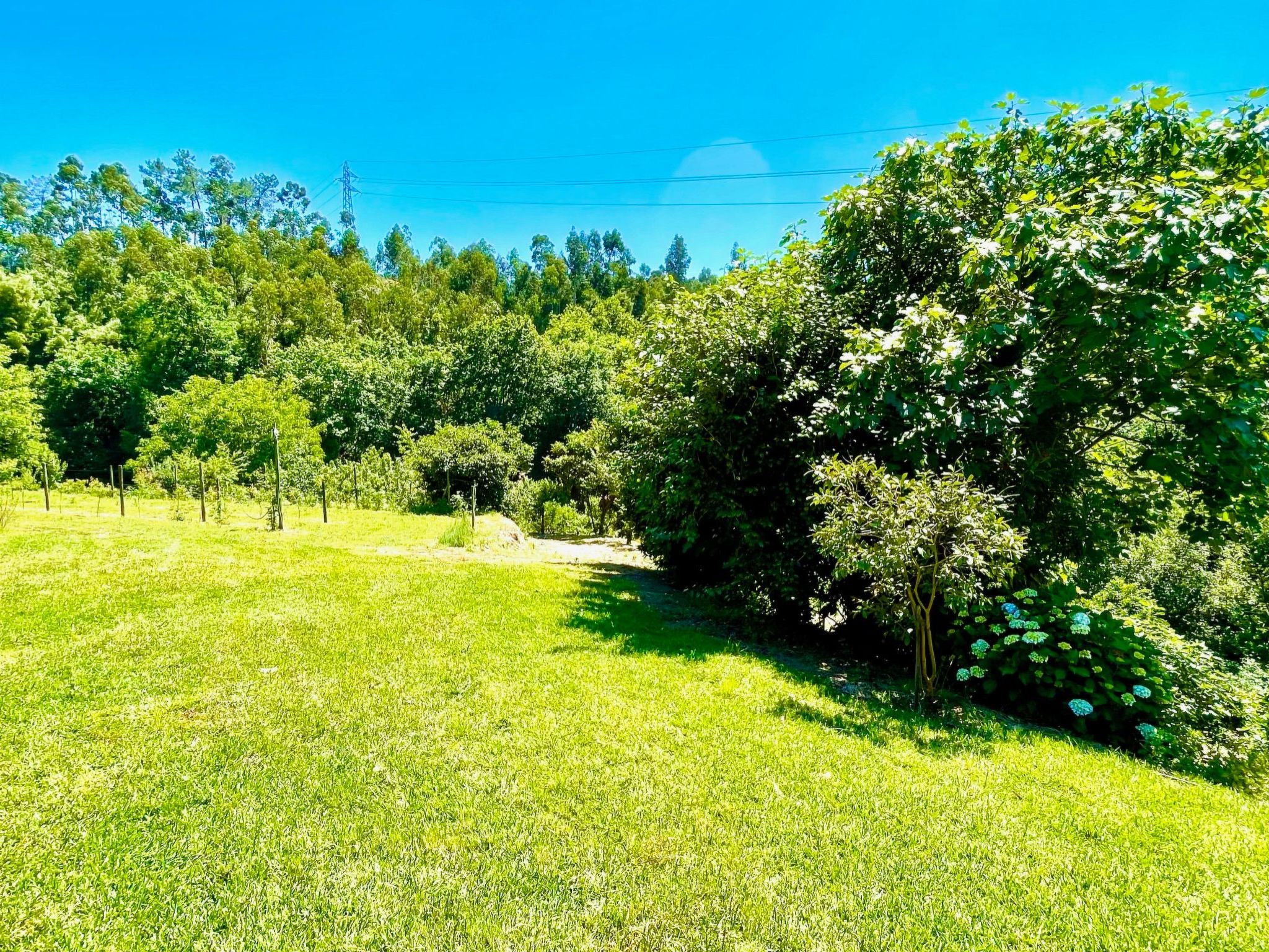 Charmantes Haus in Penafiel Douro-Tal-Binnen