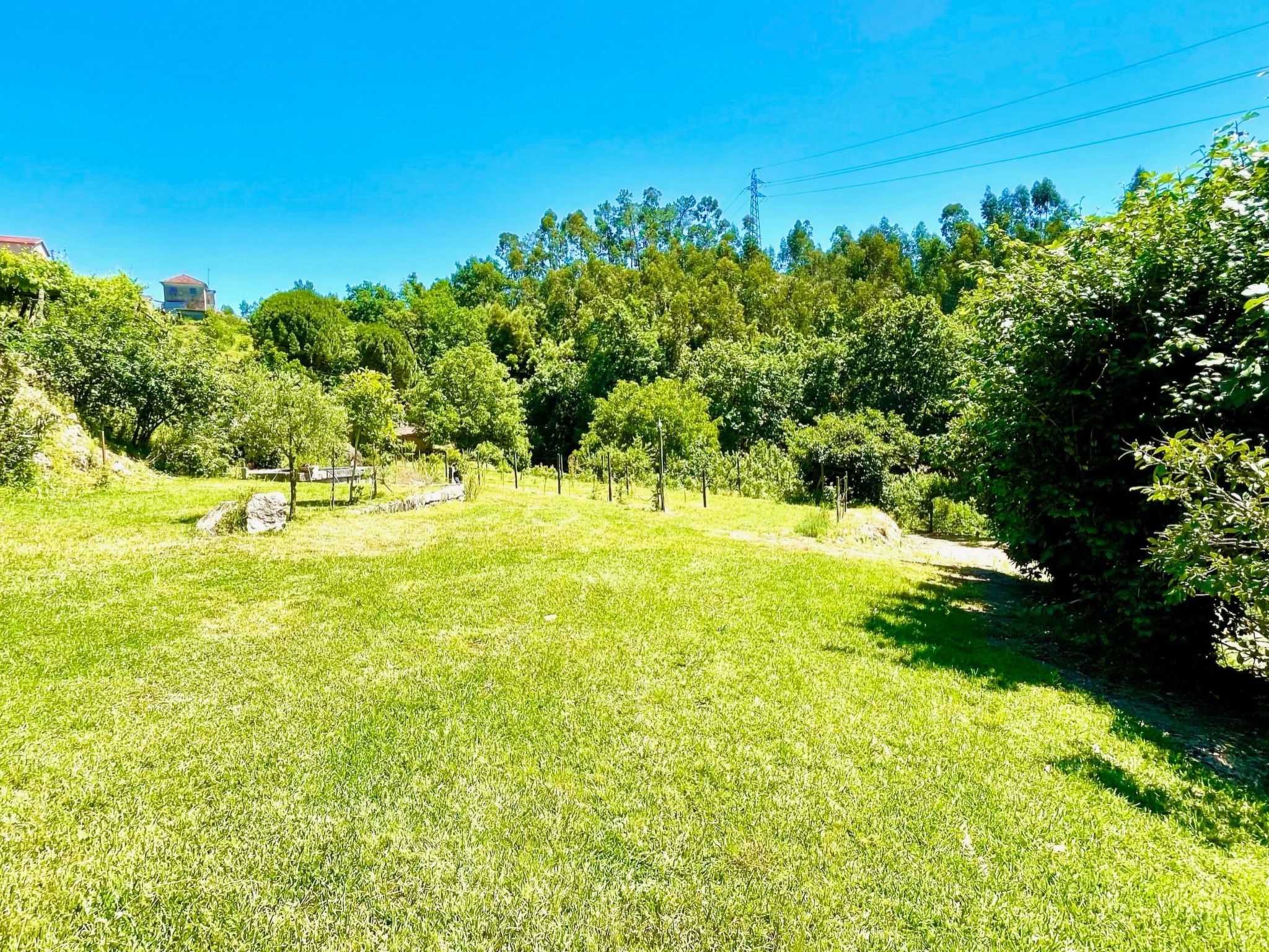 Charmantes Haus in Penafiel Douro-Tal-Binnen