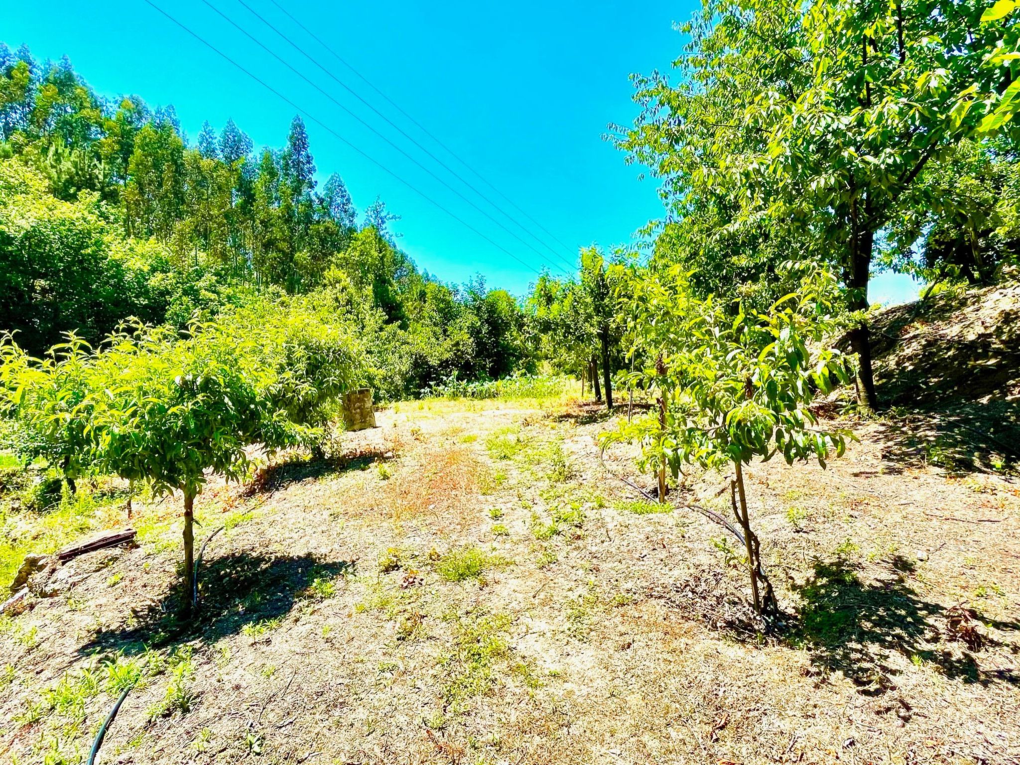 Charmantes Haus in Penafiel Douro-Tal-Binnen