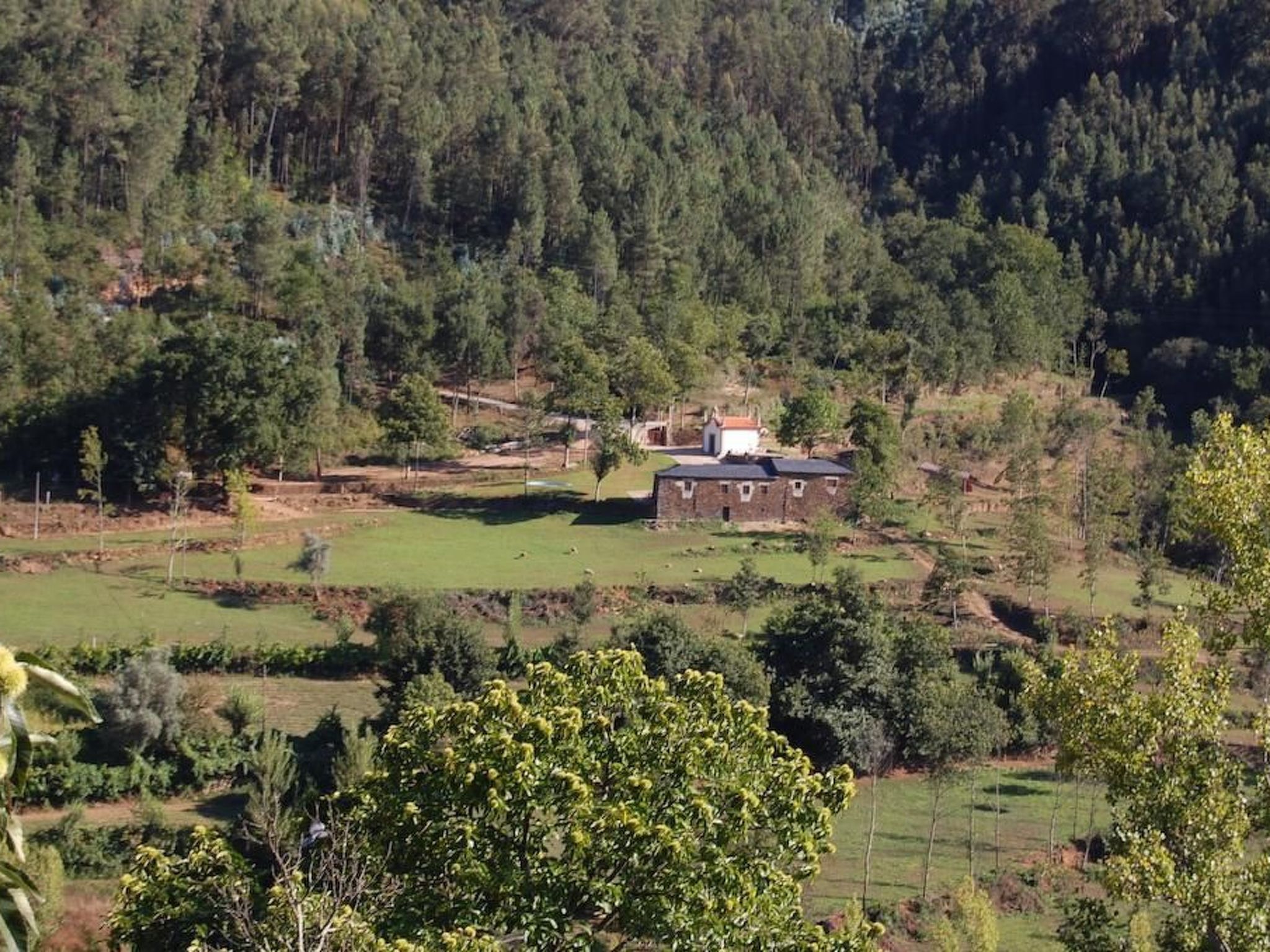 Villa mit Garten, Grill und Terrasse-Image-tags.info