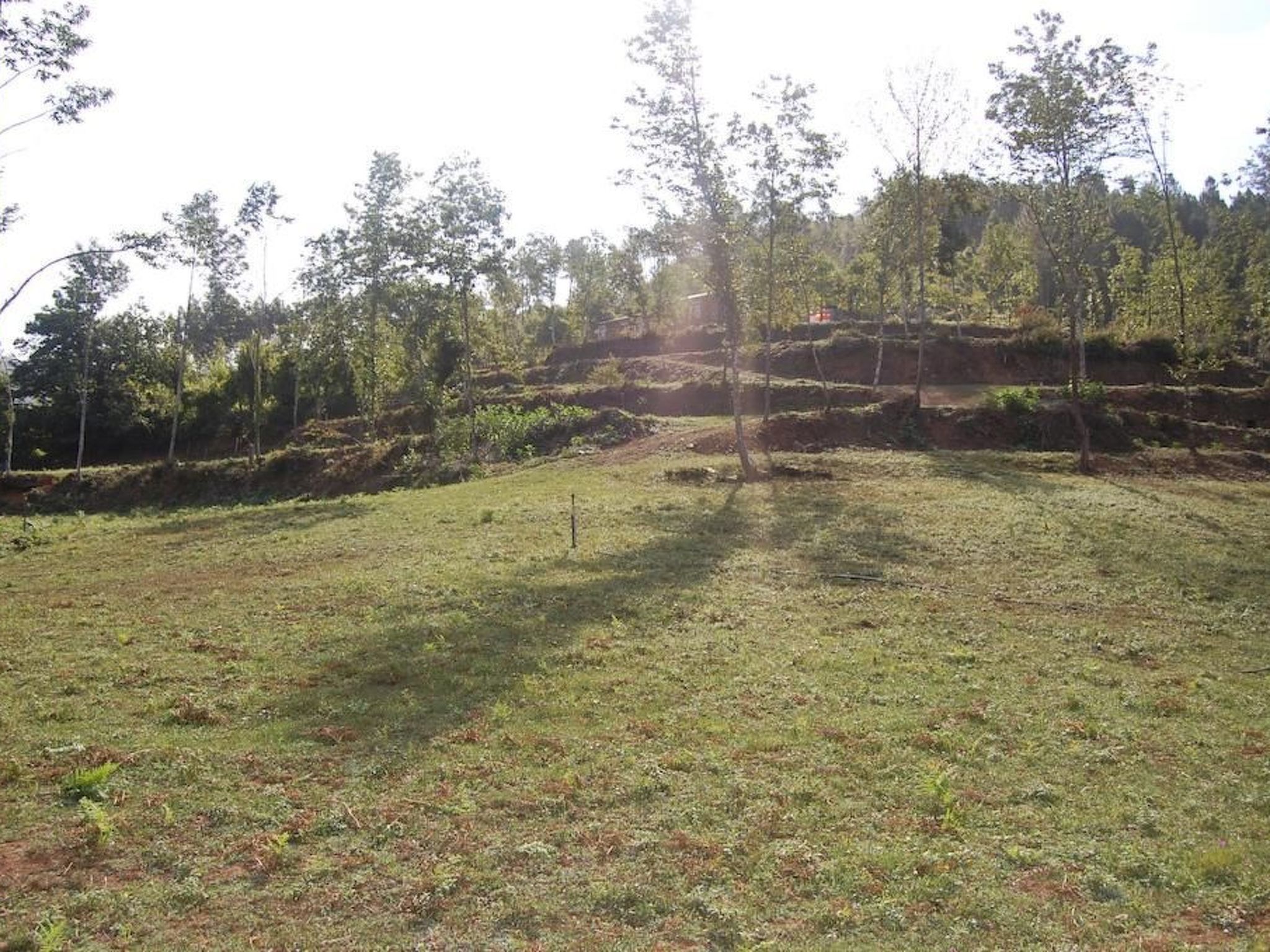 Villa mit Garten, Grill und Terrasse-Image-tags.info