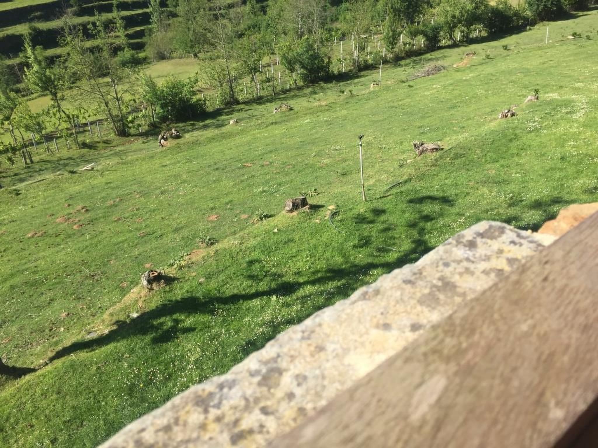 Villa mit Garten, Grill und Terrasse-Dehors