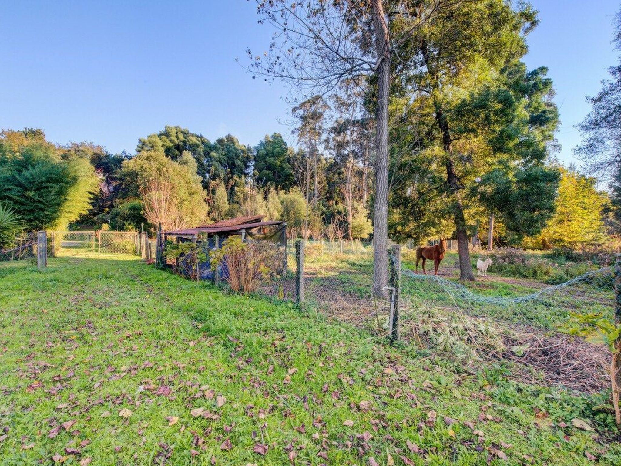 Maison du Moulin in Bauernhof-Draußen