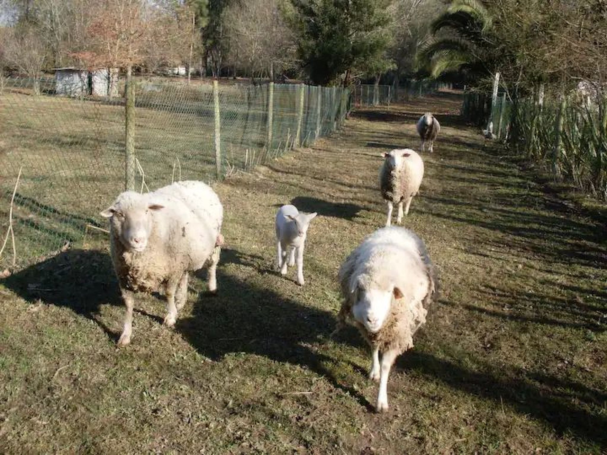 Maison du Moulin in Bauernhof-Draußen