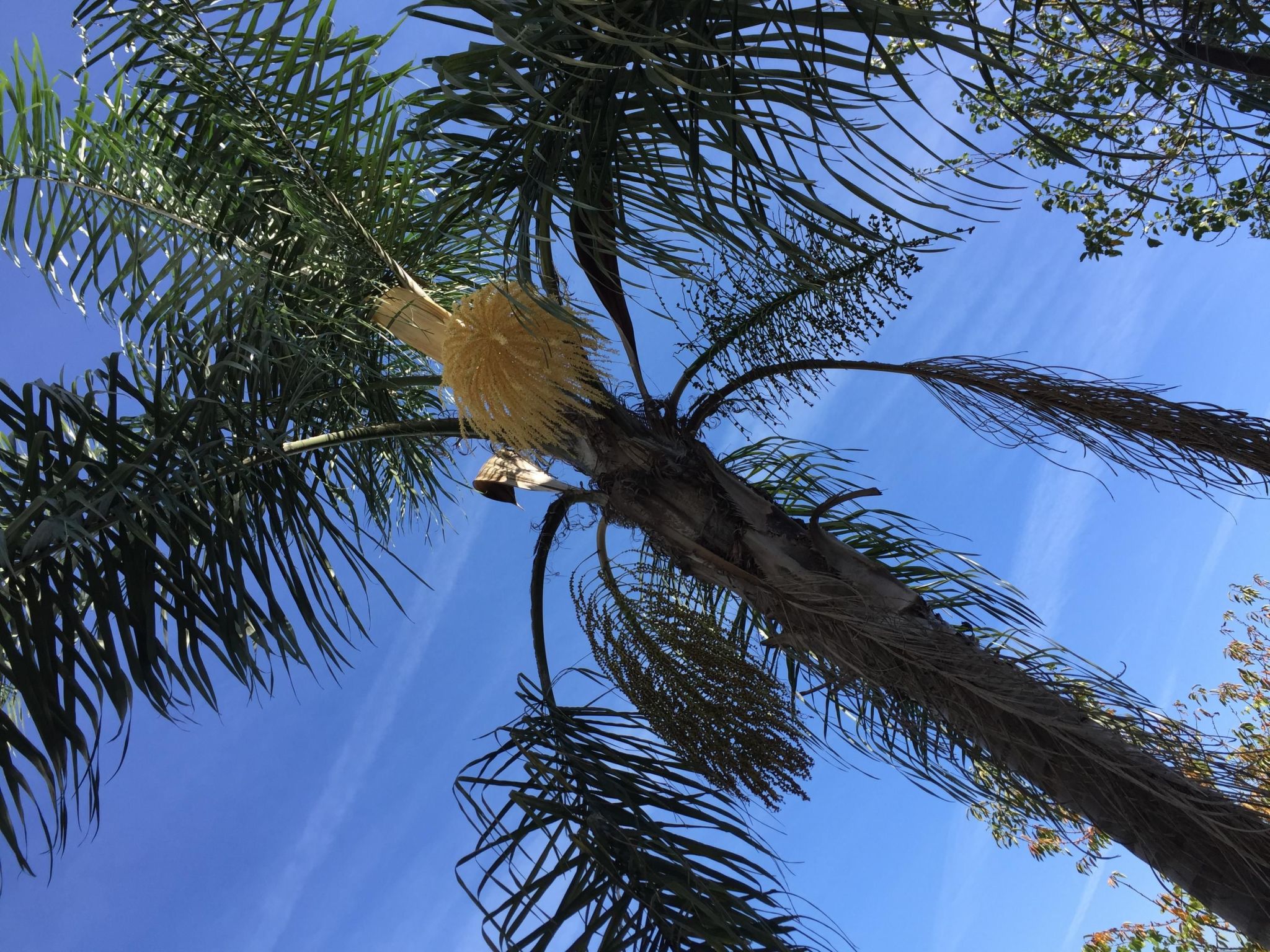 Villa "Vivenda Vila Nova"-Dehors