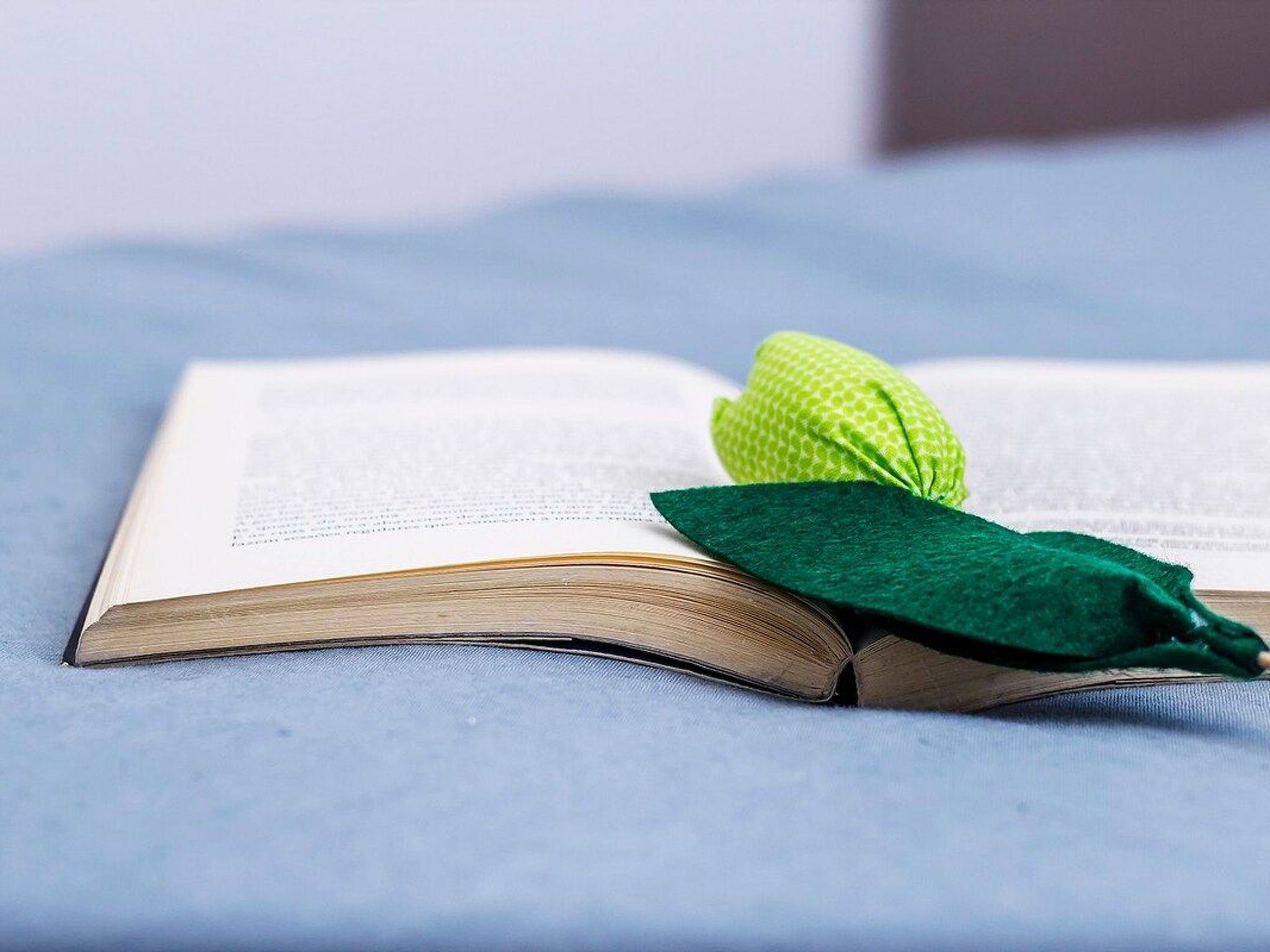 Salzwerker-Wohnung-Binnen