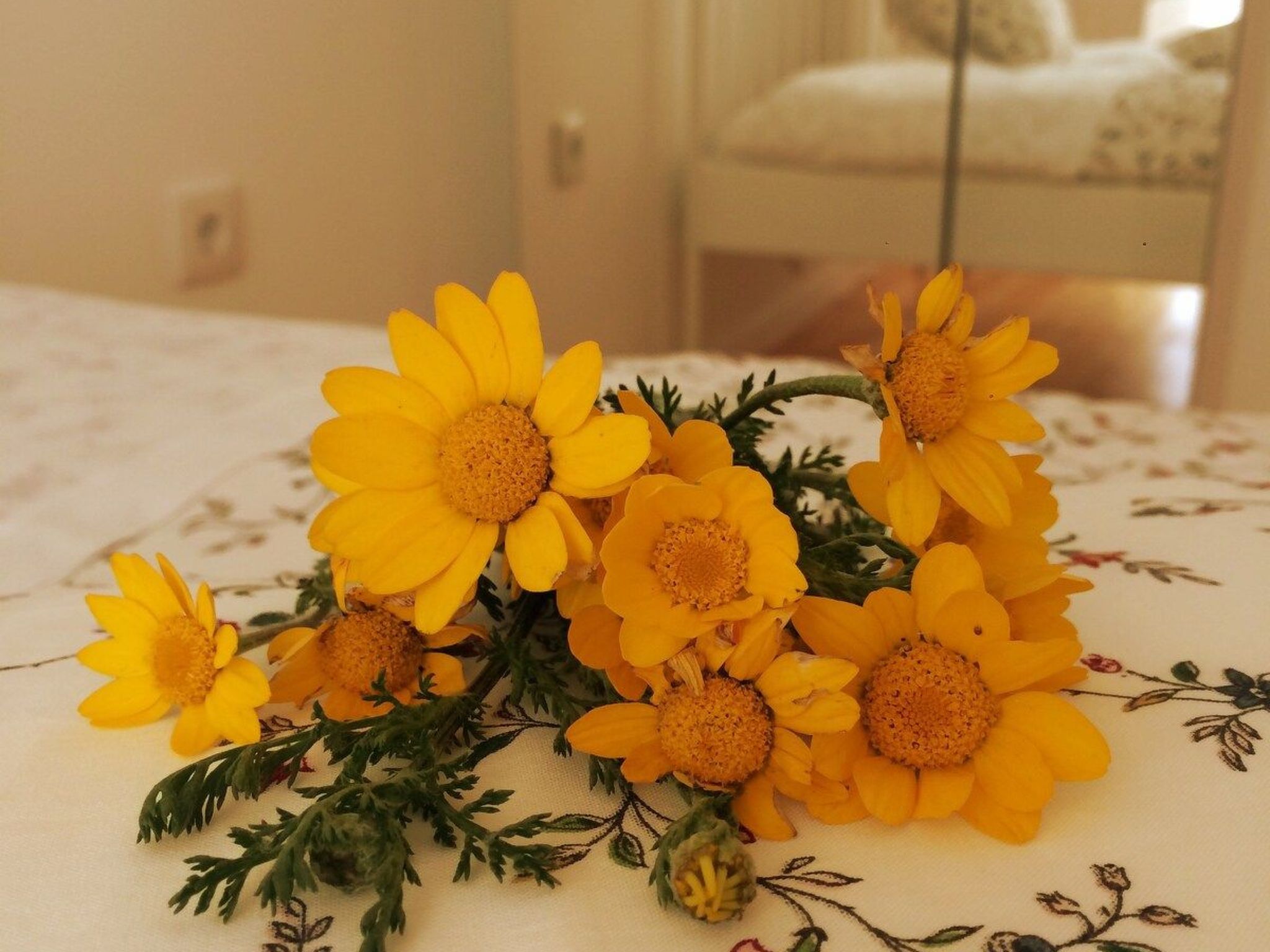 Gelbes Haus im historischen Zentrum