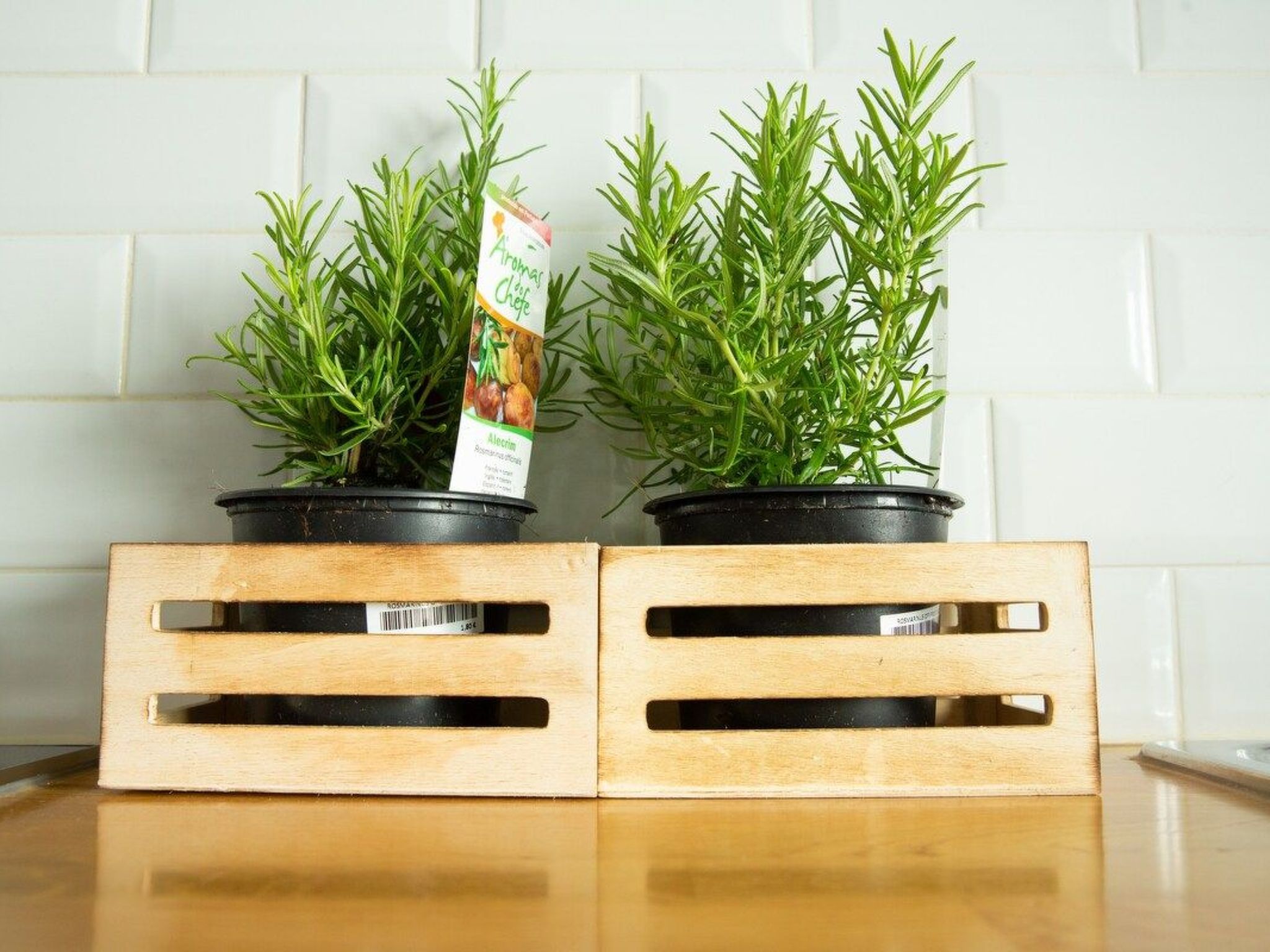 Maison du Palmier 1-Binnen