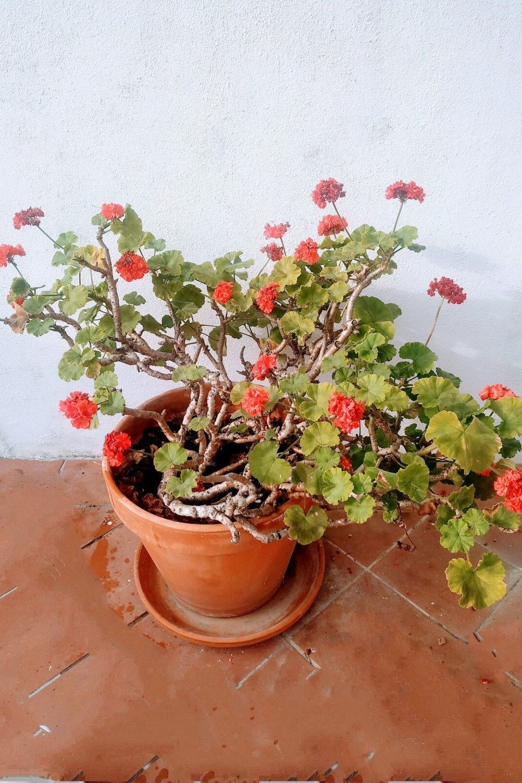 Ihr Kurzurlaub zwischen Wellen und Lächeln-Binnen