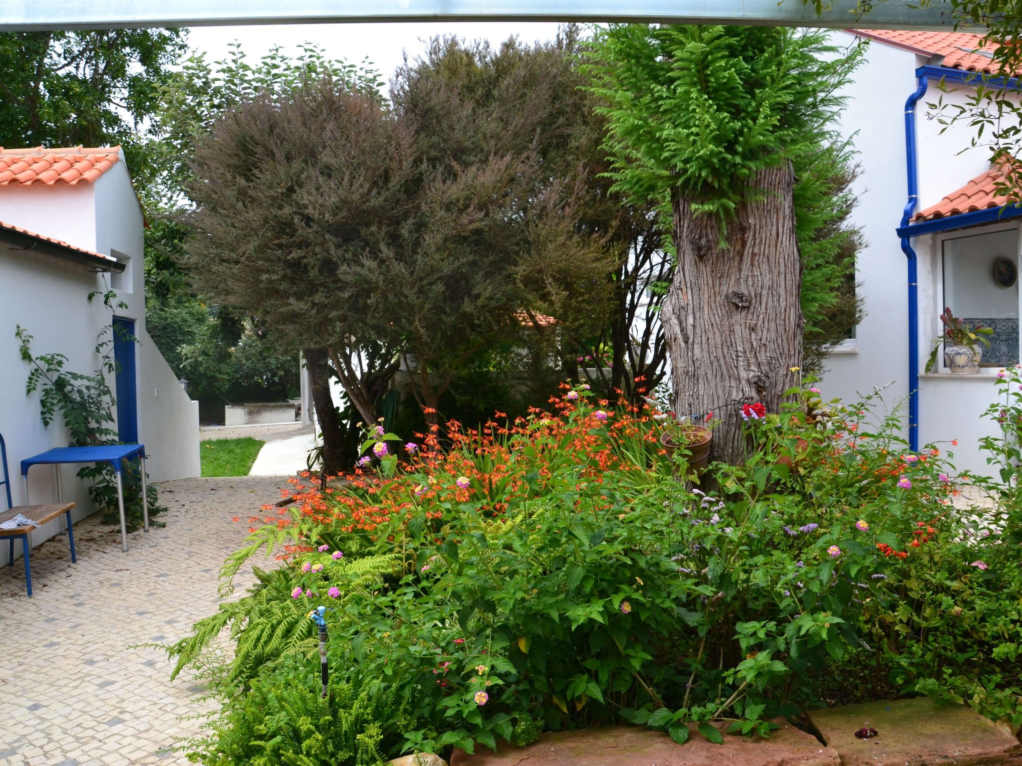 Quinta D'Avó Amélia, wunderschönes Landhaus zwischen den Bergen und dem Meer-Draußen