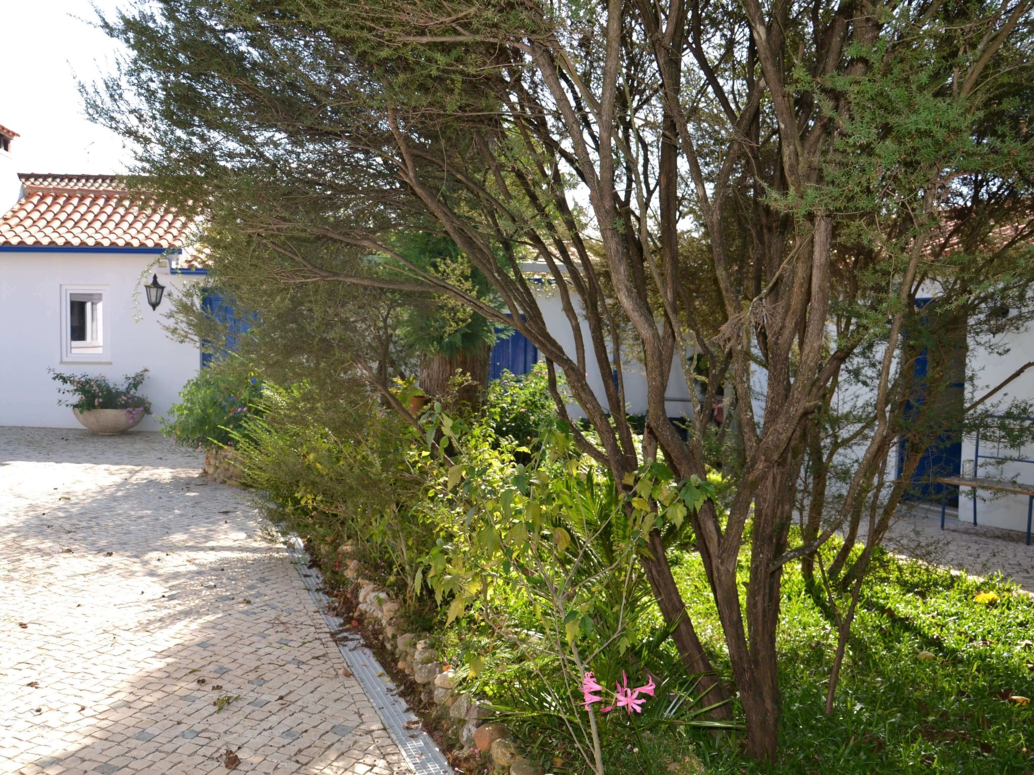 Quinta D'Avó Amélia, wunderschönes Landhaus zwischen den Bergen und dem Meer-Draußen