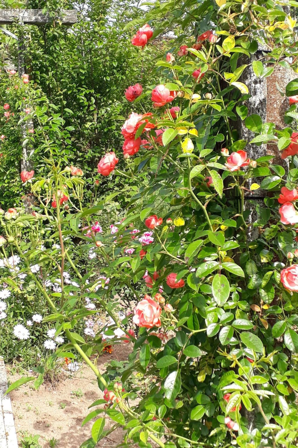 Quinta D'Avó Amélia, wunderschönes Landhaus zwischen den Bergen und dem Meer-Draußen