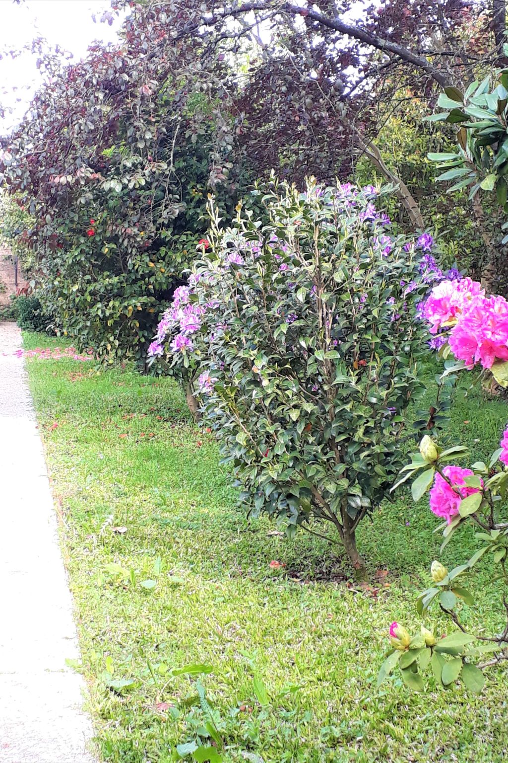 Quinta D'Avó Amélia, wunderschönes Landhaus zwischen den Bergen und dem Meer-Draußen