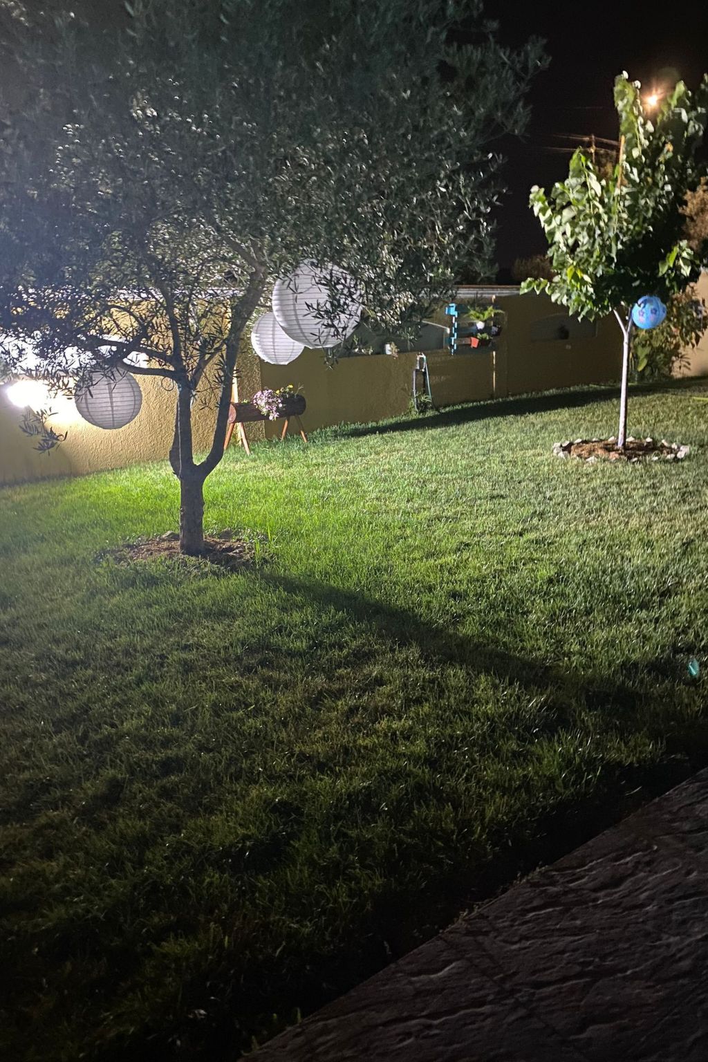 Kleines Paradies in der Nähe des portugiesischen Venedigs 1-Image-tags.info