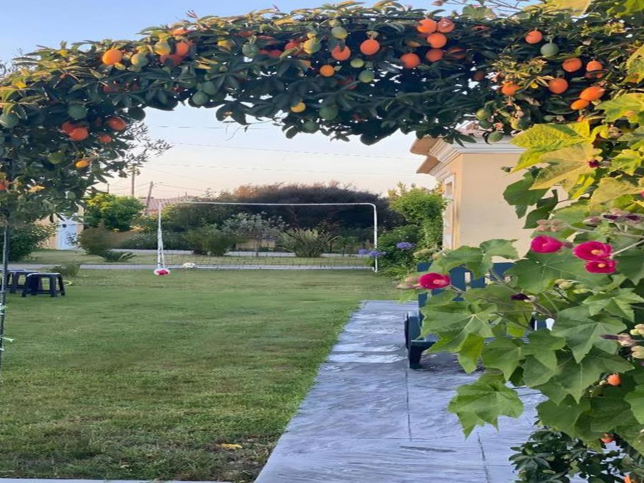 Kleines Paradies in der Nähe des portugiesischen Venedigs 1-Draußen