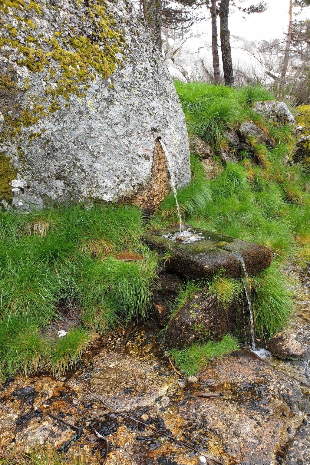 Ferienvilla "Casa Oriana" mit privatem Pool-Inside