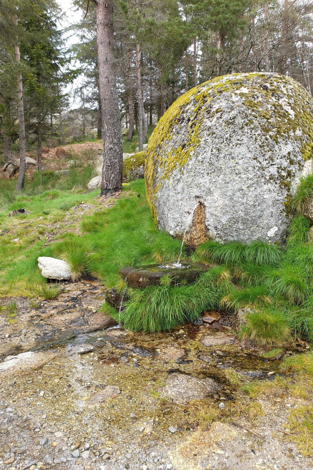 "Haus der Schwäne" - Geopark Serra da Estrela-Drinnen
