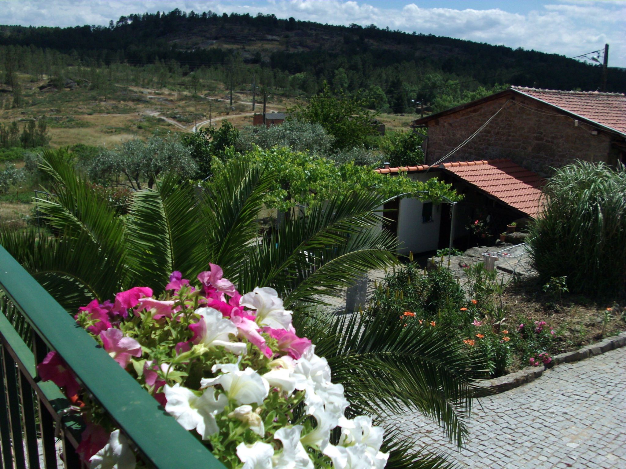 Ferien auf dem Bauernhof mit Weinberg-Inside