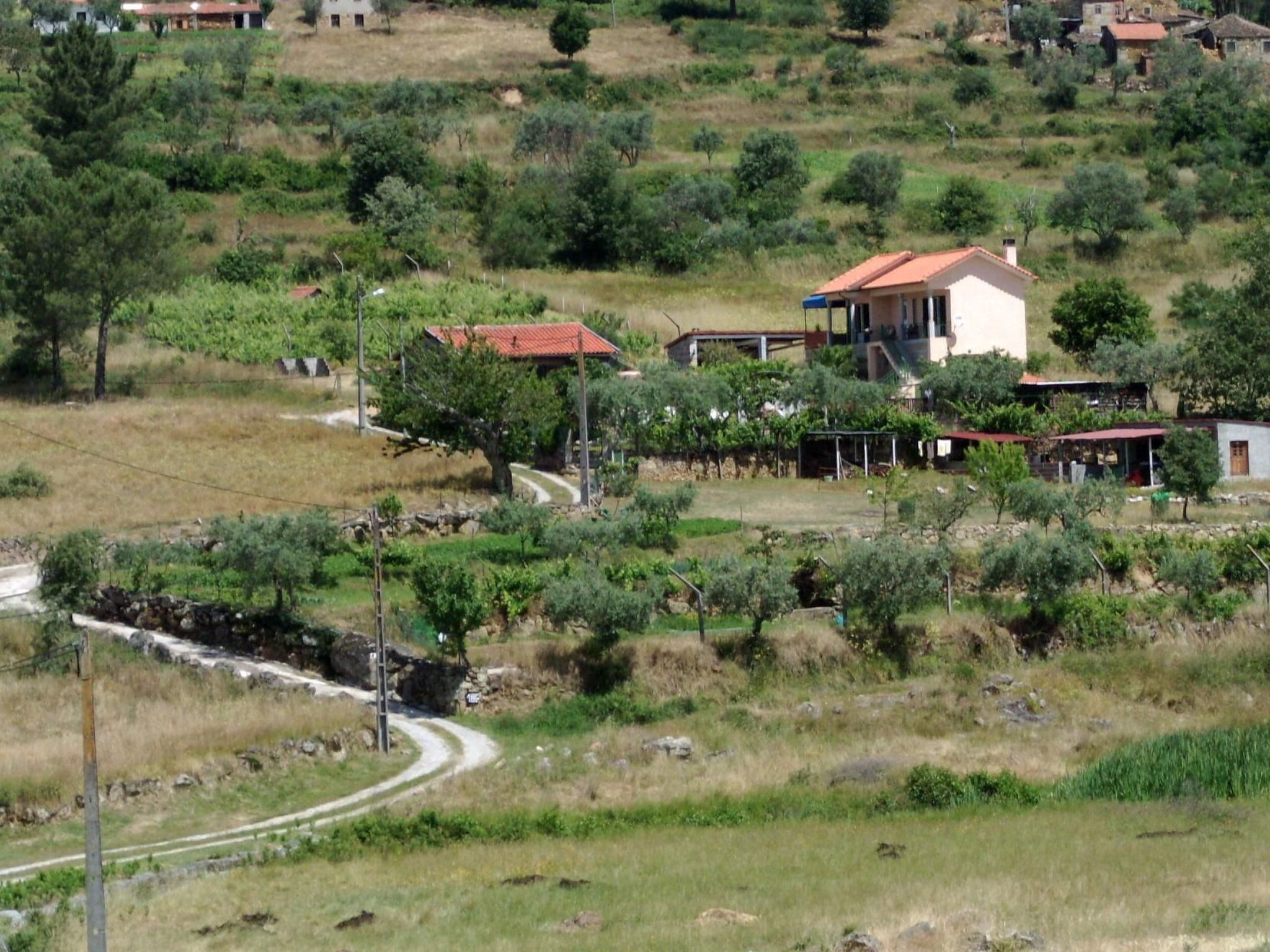 Ferien auf dem Bauernhof mit Weinberg-Inside