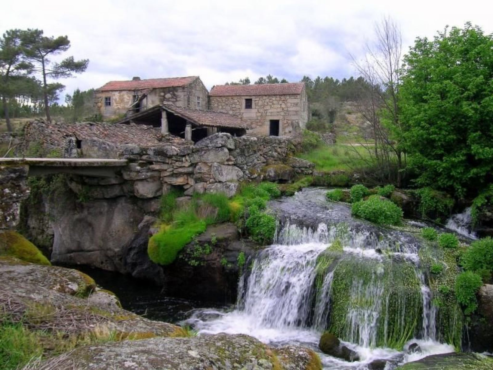 Ferien auf dem Bauernhof mit Weinberg-Inside